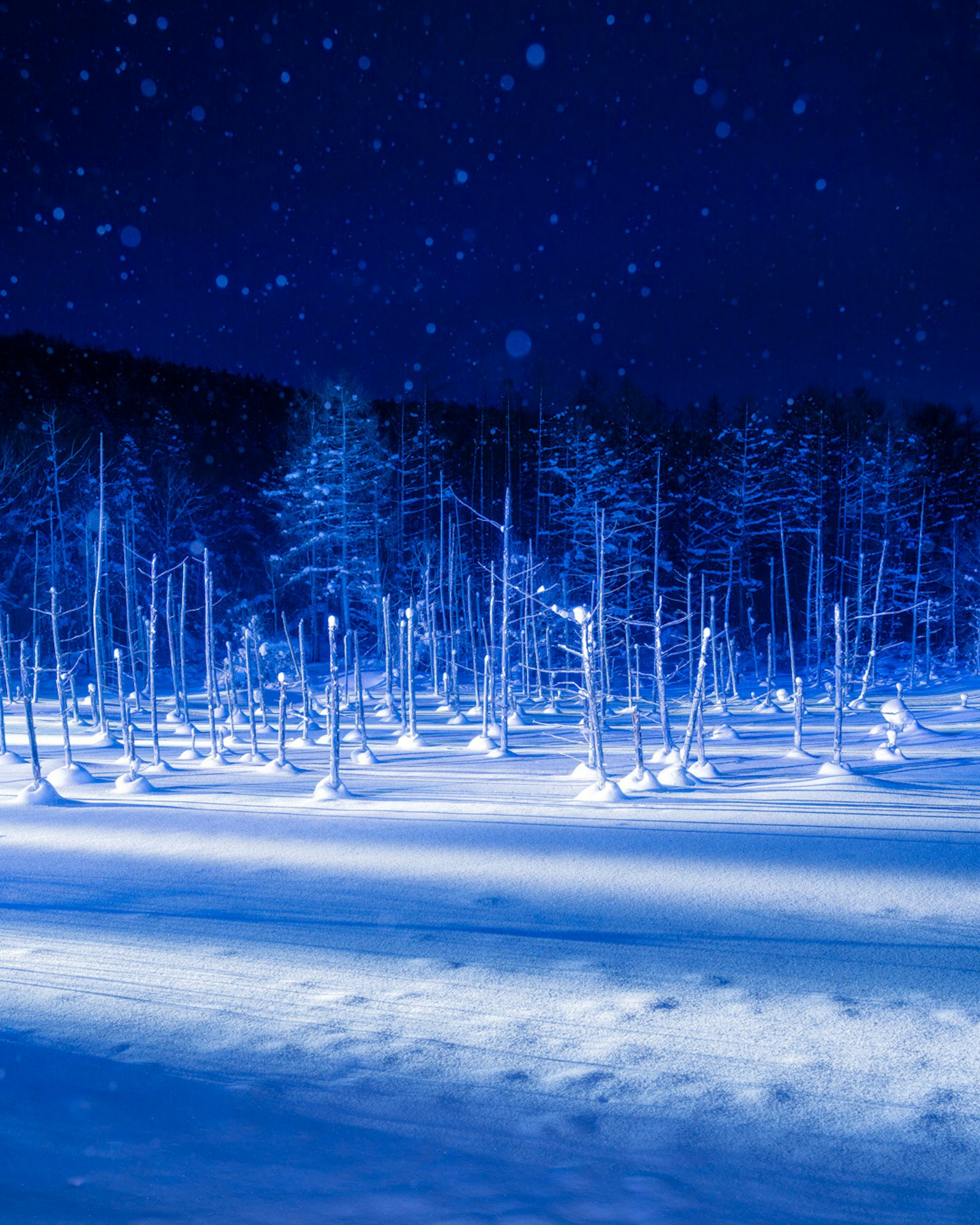 Paesaggio invernale coperto di neve blu con alberi spogli e fiocchi di neve scintillanti nel cielo notturno
