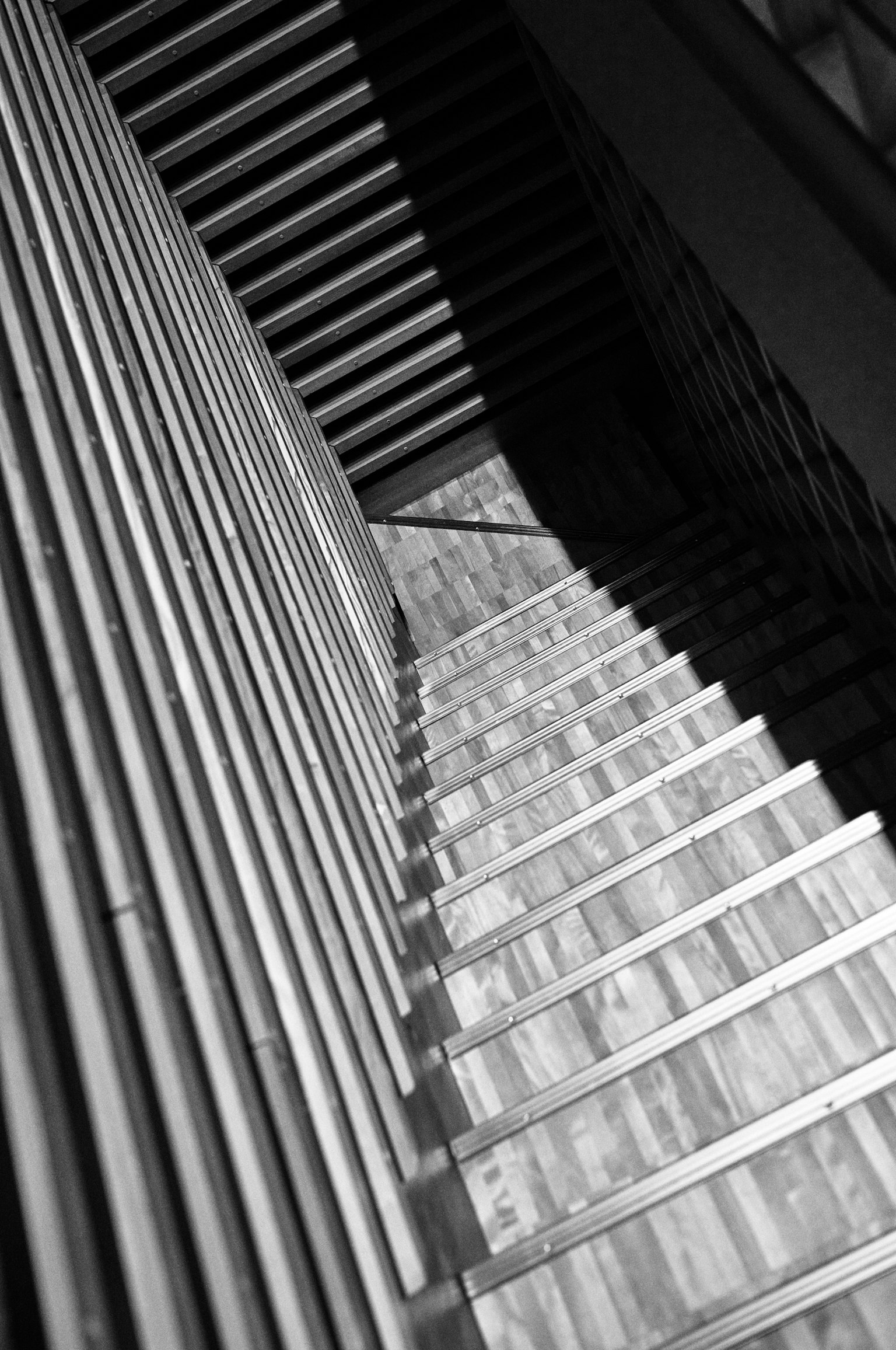 photo-0ZXCj6muVmZQWnPFe3SV-image