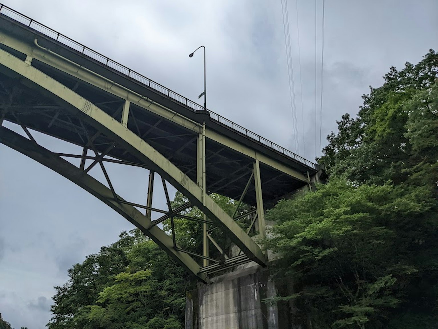 สะพานสีเขียวขนาดใหญ่ตั้งอยู่ท่ามกลางต้นไม้