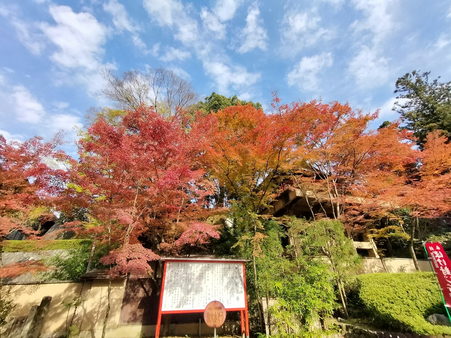 Beautiful garden scene with autumn foliage