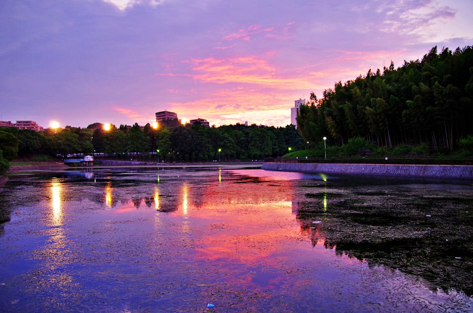 Vista serena del lago con un atardecer reflejándose en el agua rodeada de árboles y farolas