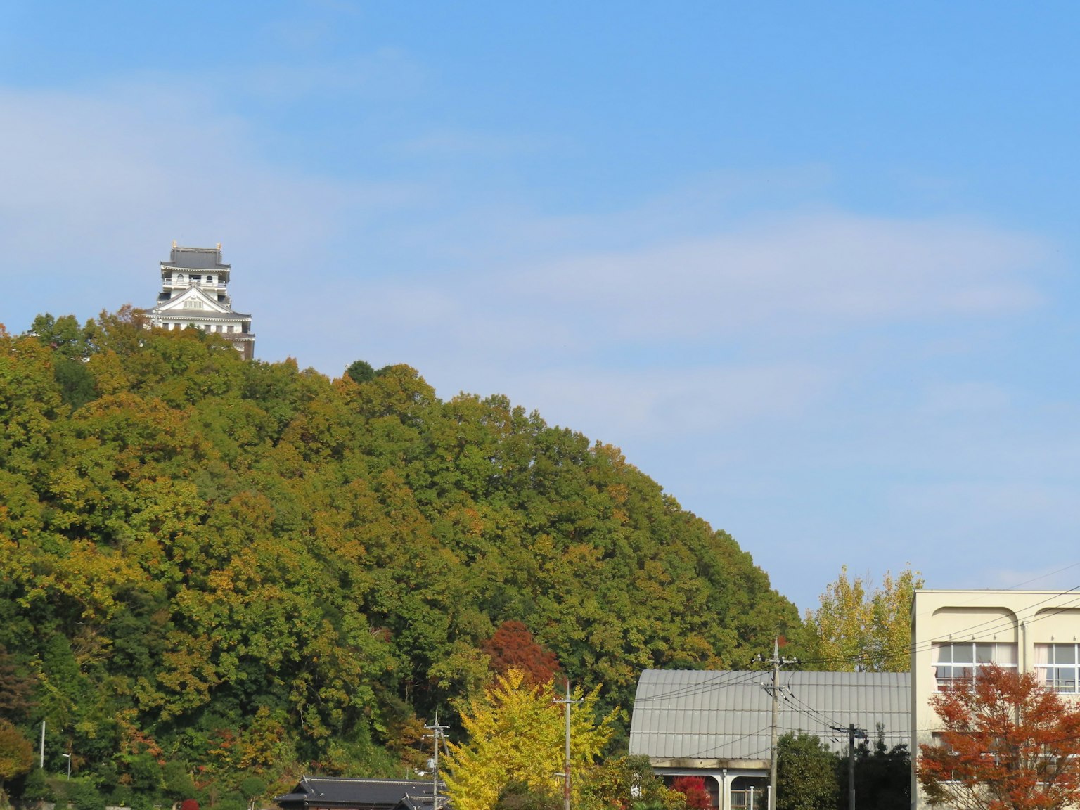 A castle tower atop a green hill under a blue sky