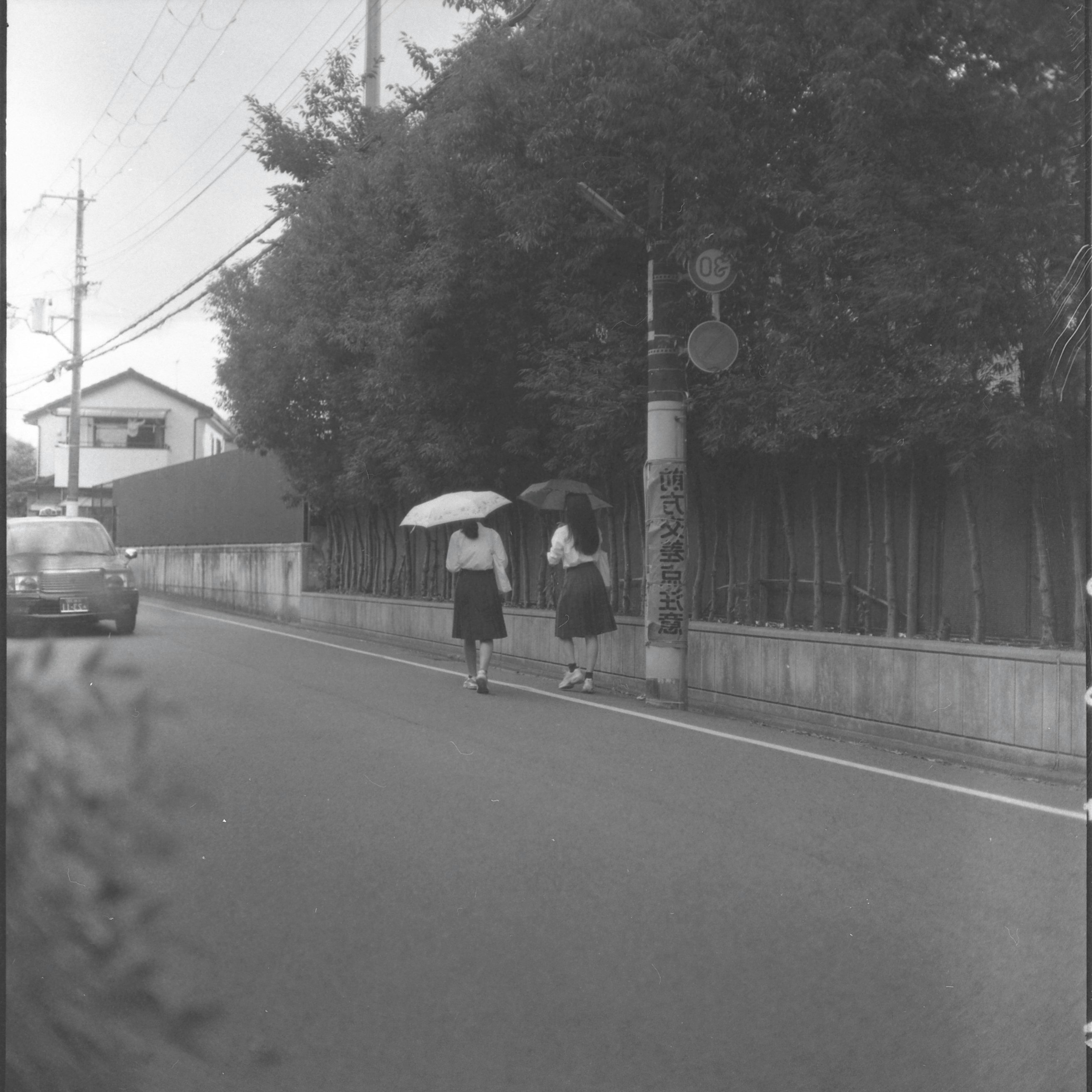 雨の路地を傘をさして歩く人たちの後ろ姿