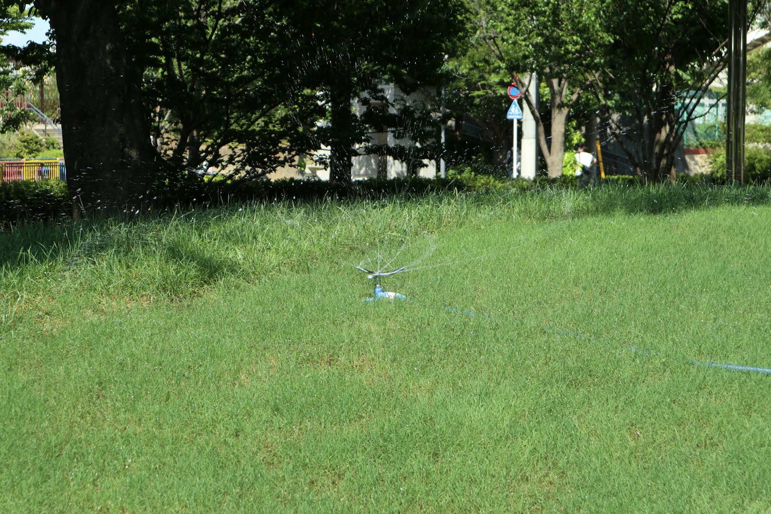 Eine Szene mit einem Sprinkler auf grünem Gras