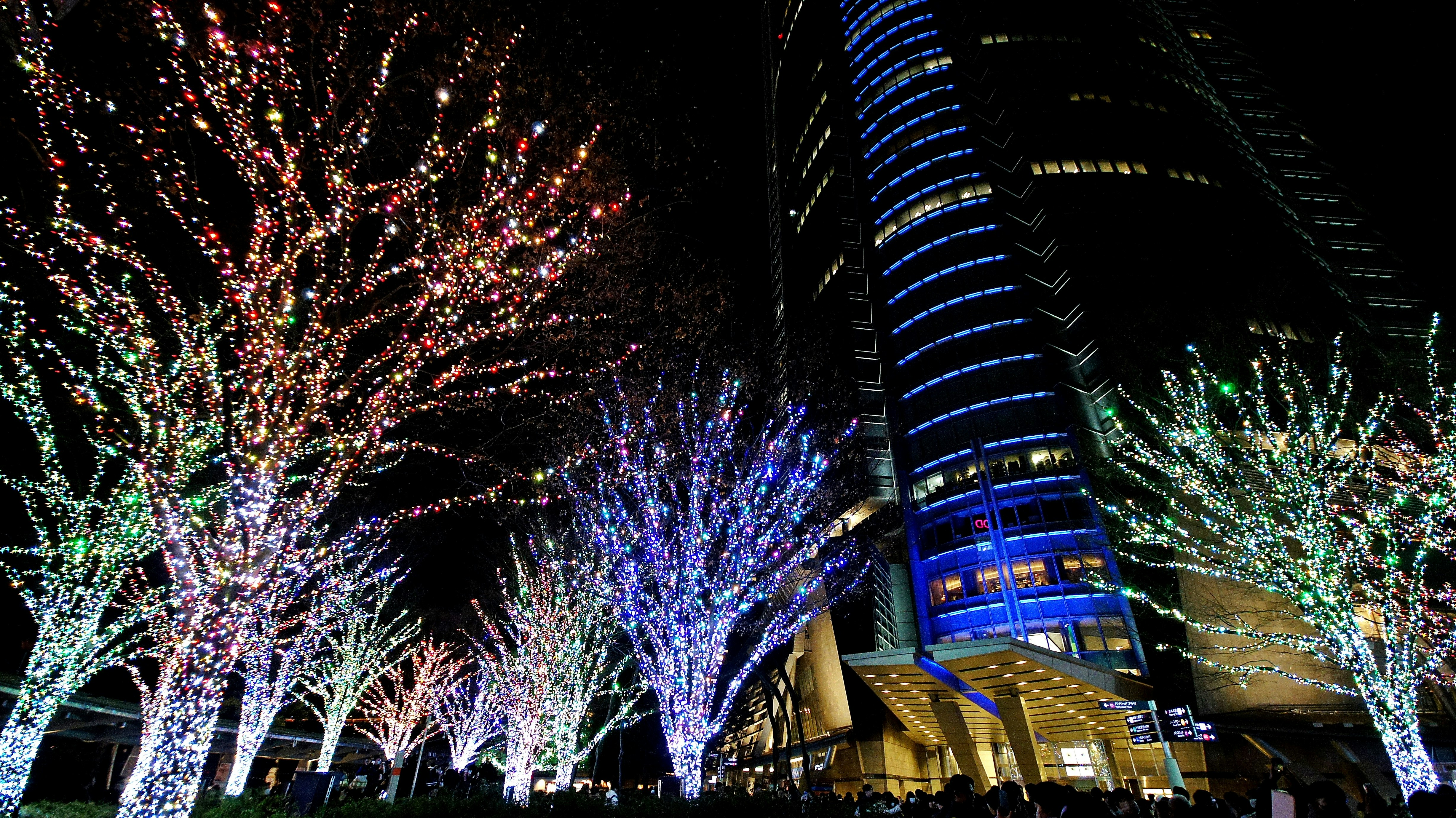 六本木之丘圣诞灯饰与七色街道树的夜景