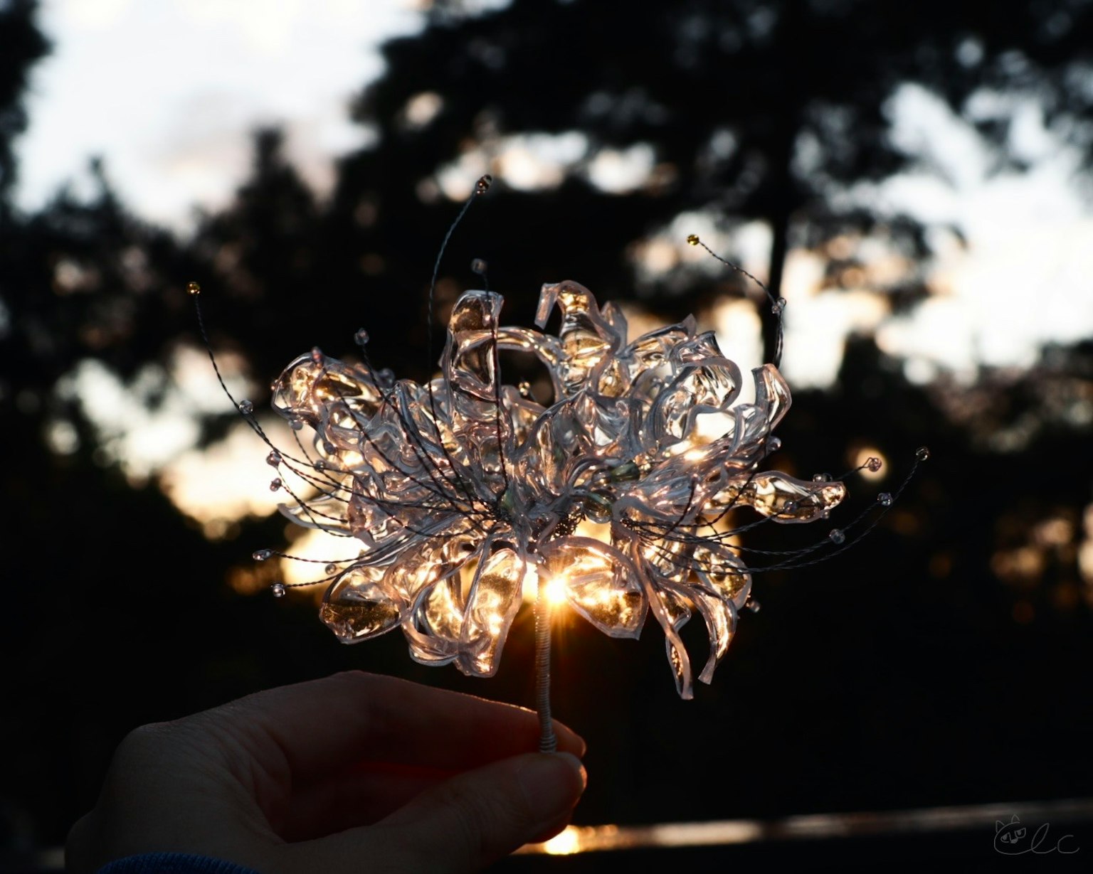 手持透明花形物体在背景阳光下闪耀