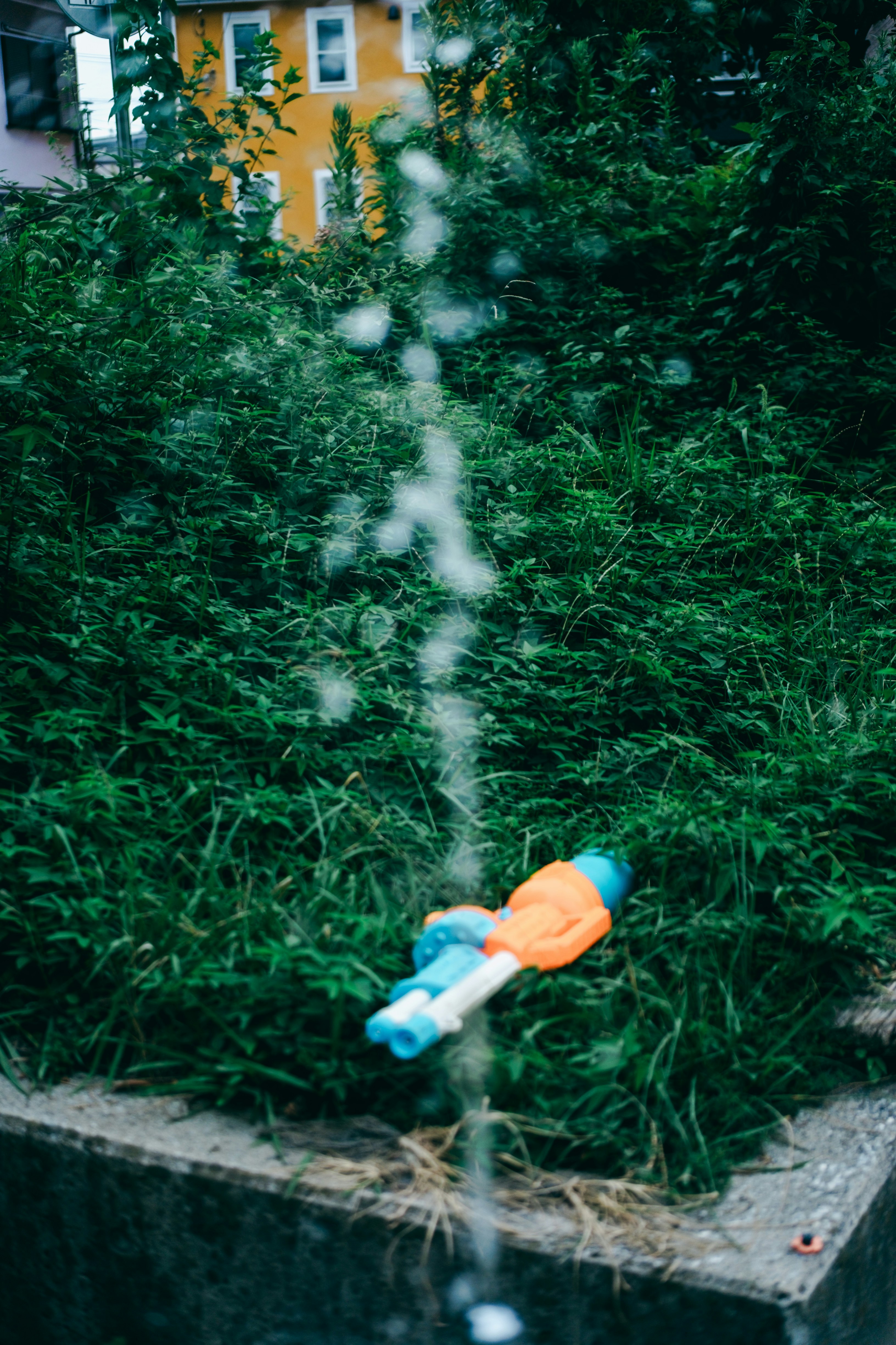 orange toy and blue doll lying in tall grass