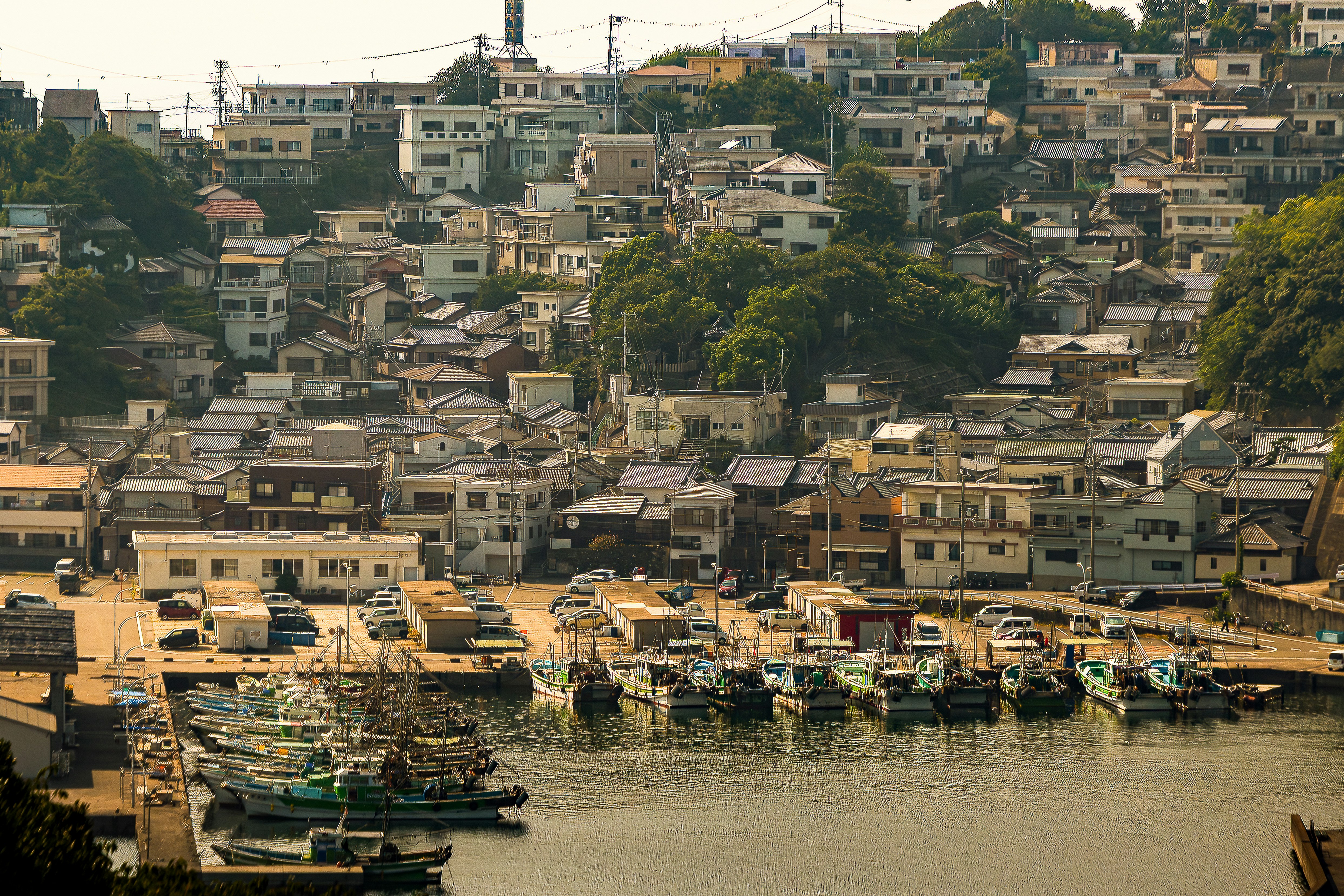 河岸住宅與碼頭相連的城鎮景觀