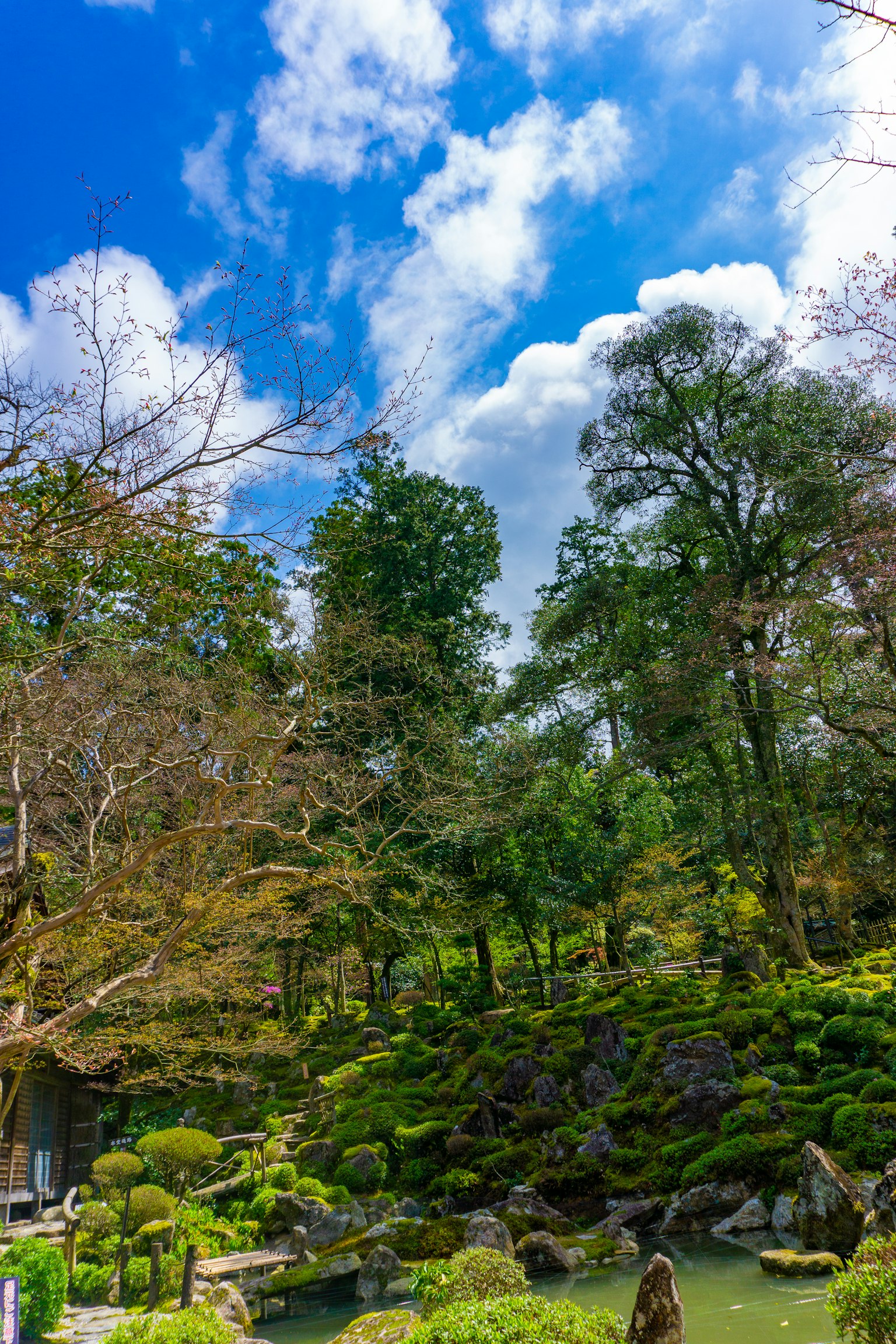 Vista escénica de un jardín rodeado de árboles verdes y cielo azul