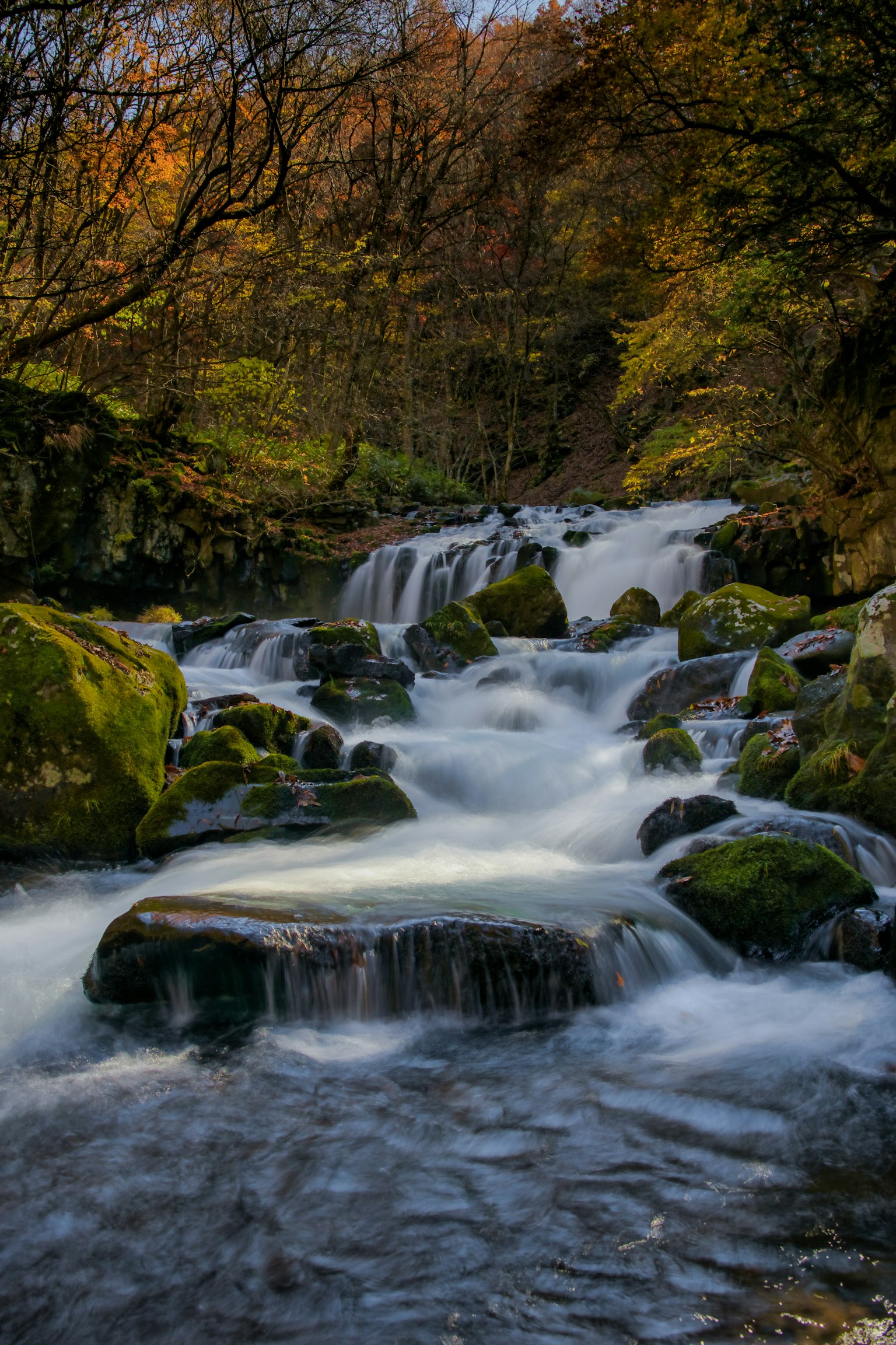 Malersicher Wasserfall mit fließendem Wasser moosbedeckte Steine und Herbstbäume