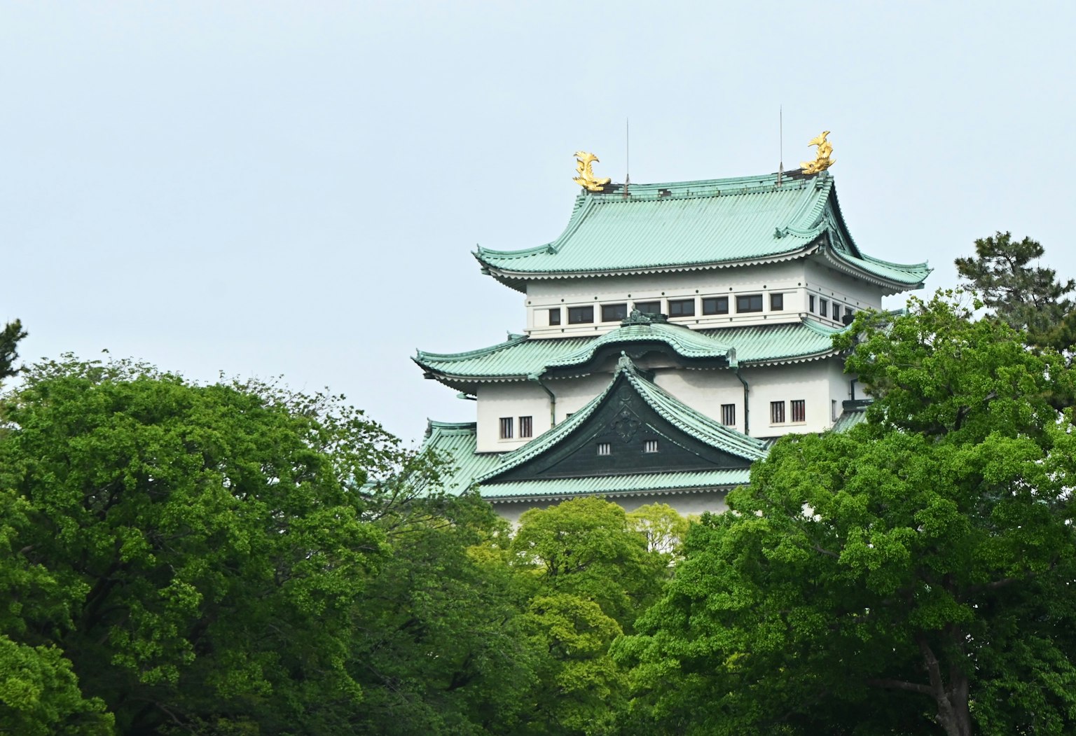 Traditionelle japanische Architektur des Nagoya-Schlosses umgeben von üppigem Grün