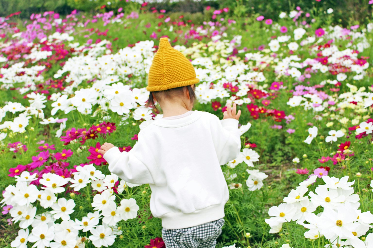 Bambino con cappello giallo che gioca tra fiori colorati indossando un maglione bianco e pantaloni a quadri