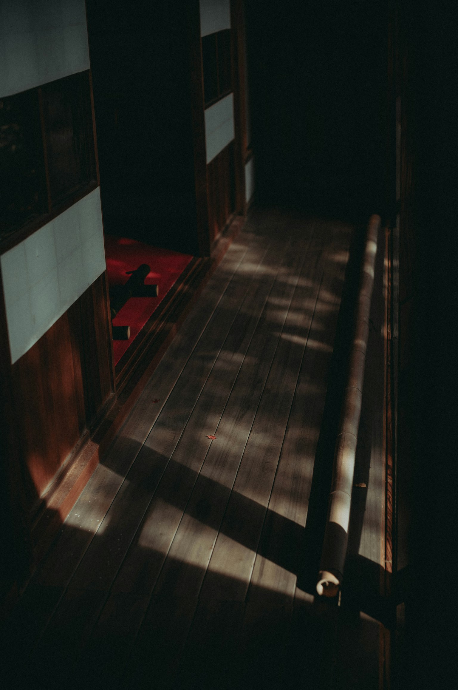 Interior de un pasillo oscuro con sombras en el suelo de madera