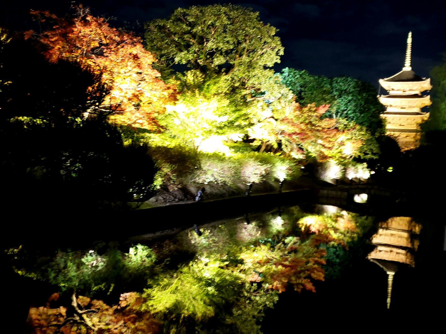 Hermoso paisaje de hojas de otoño y farol reflejados en un parque por la noche