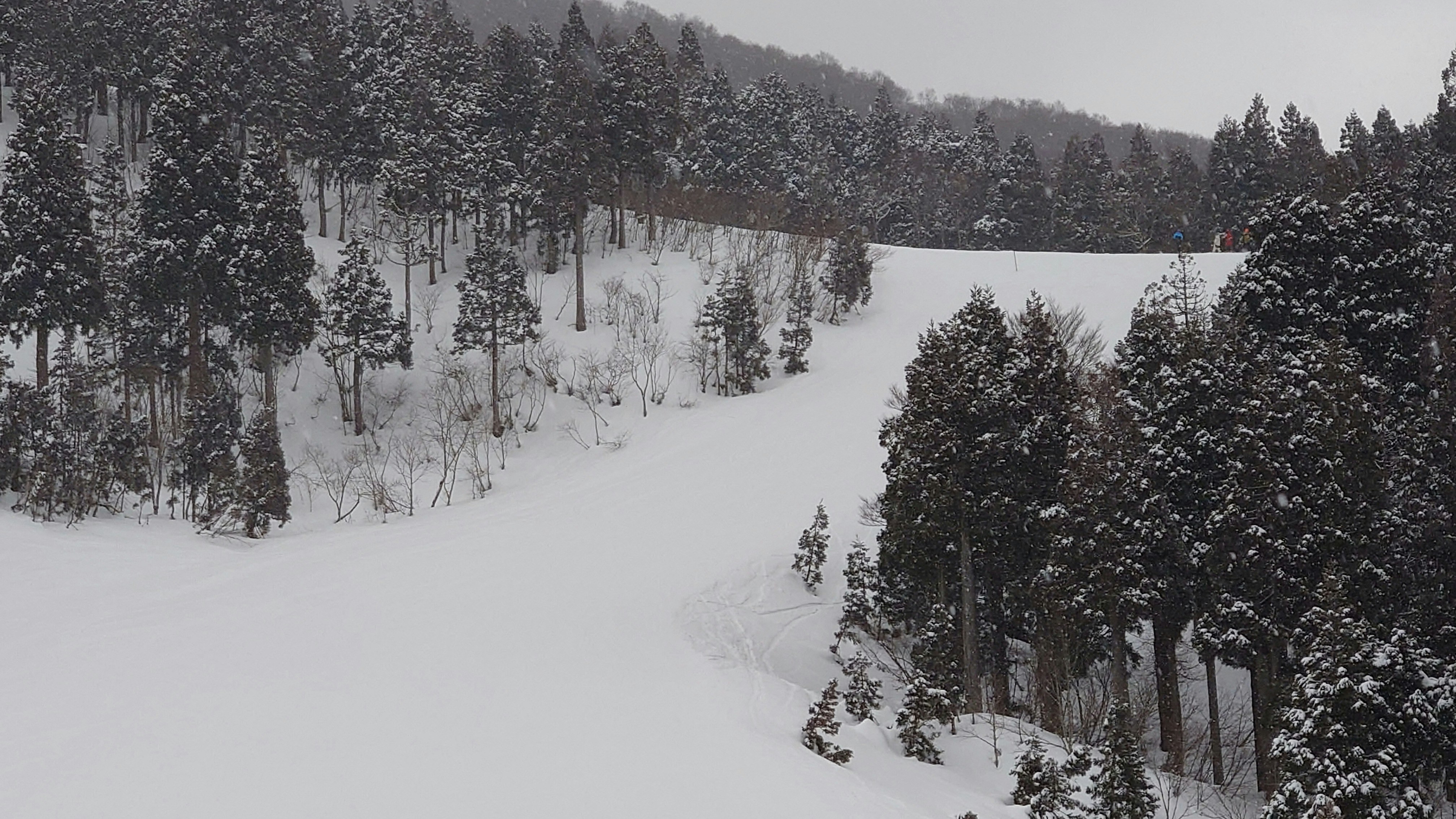 福井県のスキージャム勝山の雪のゲレンデ