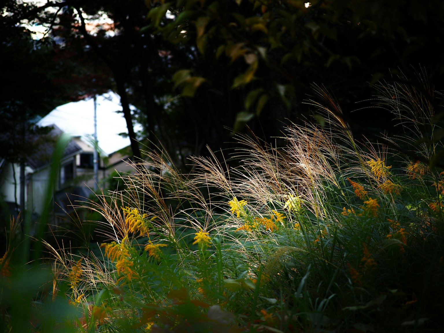 photo-0fI7w9T0VMfMu8fcpxaN-image