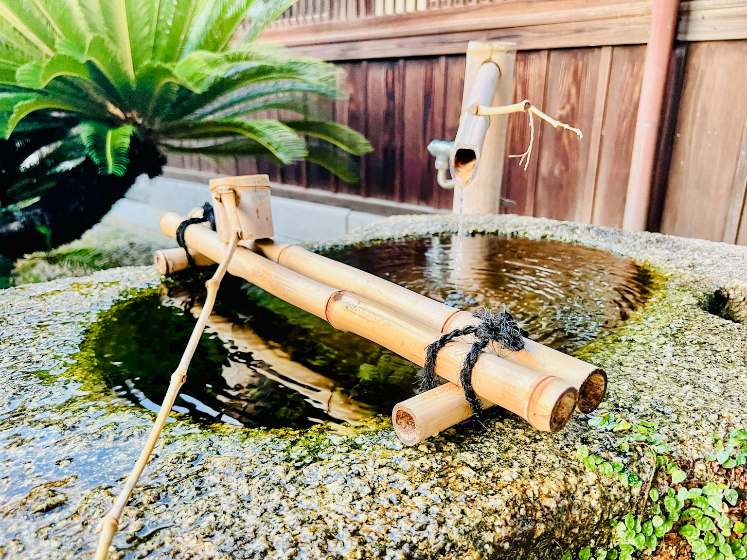 Japanischer Garten mit Bambuswasserbecken und Steinbecken