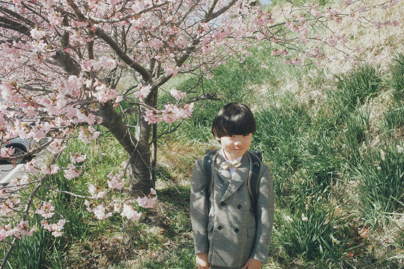 Un niño de pie bajo un árbol de cerezo en flor