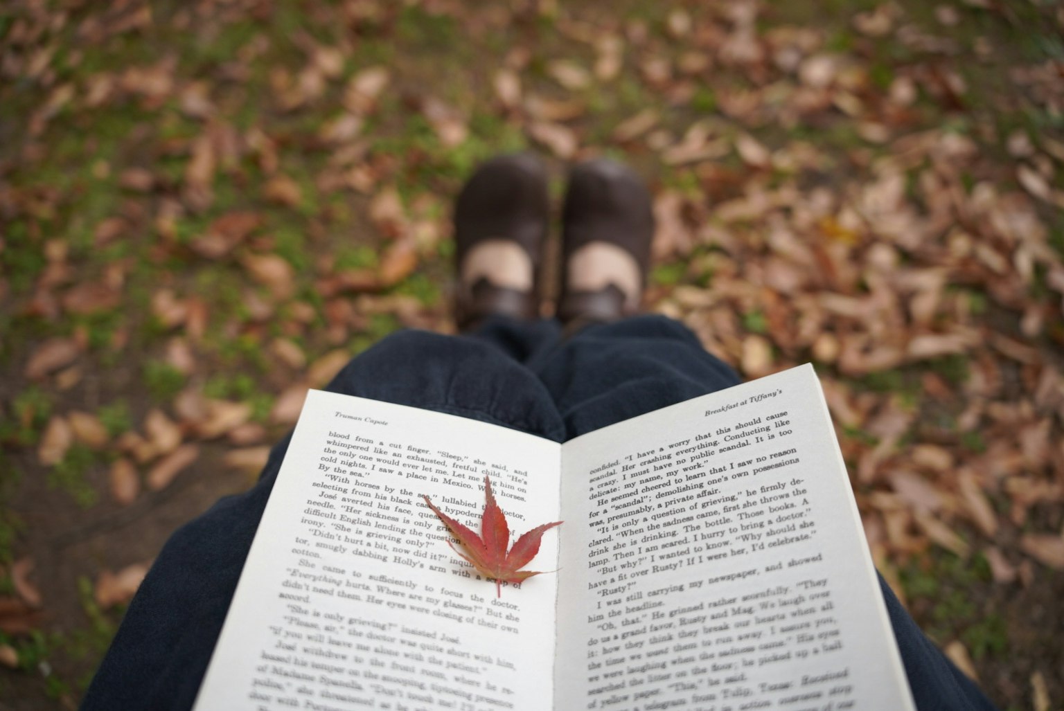 photo-0flYu6wky0XhaB0FHq5a-image