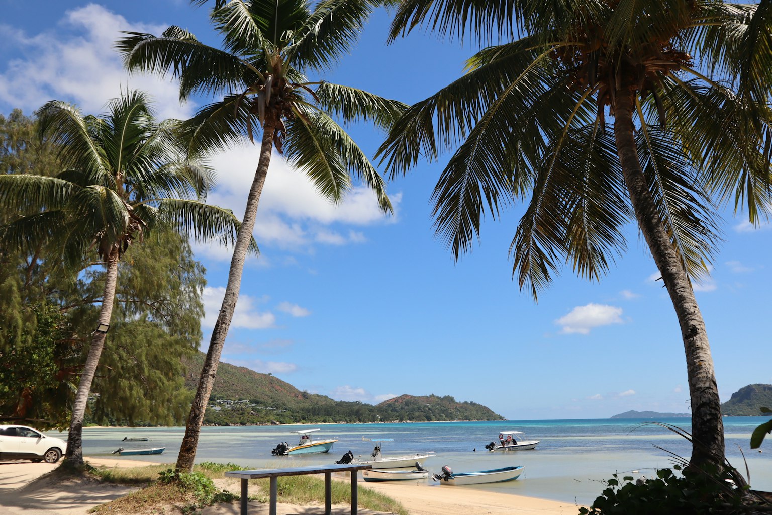 Escena de playa con palmeras bajo un cielo azul y agua clara