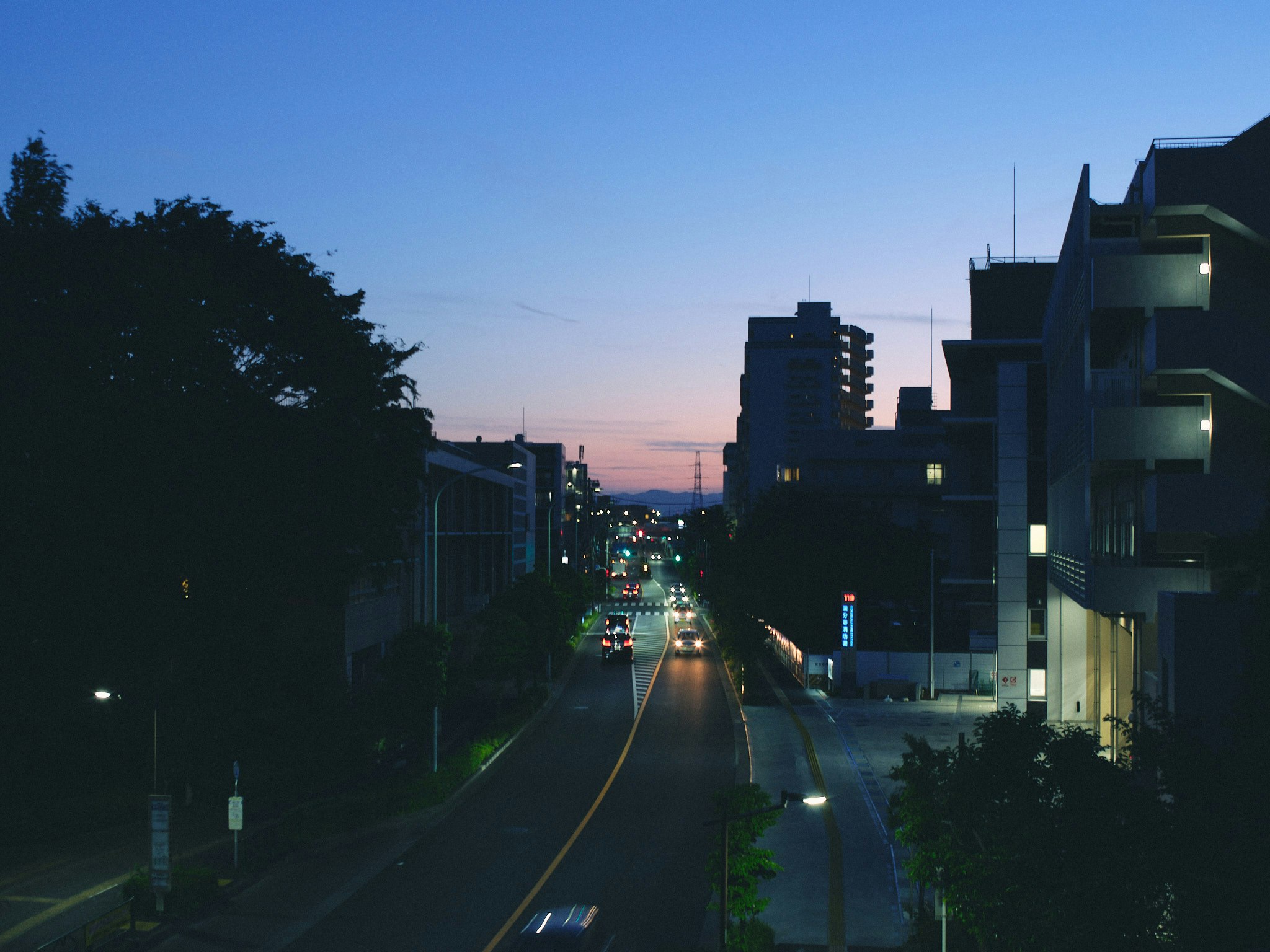 夕暮れの街路に並ぶ高層住宅と街灯の光