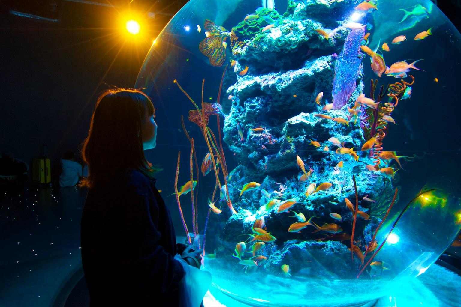Una mujer de pie frente a un gran acuario lleno de peces coloridos y corales