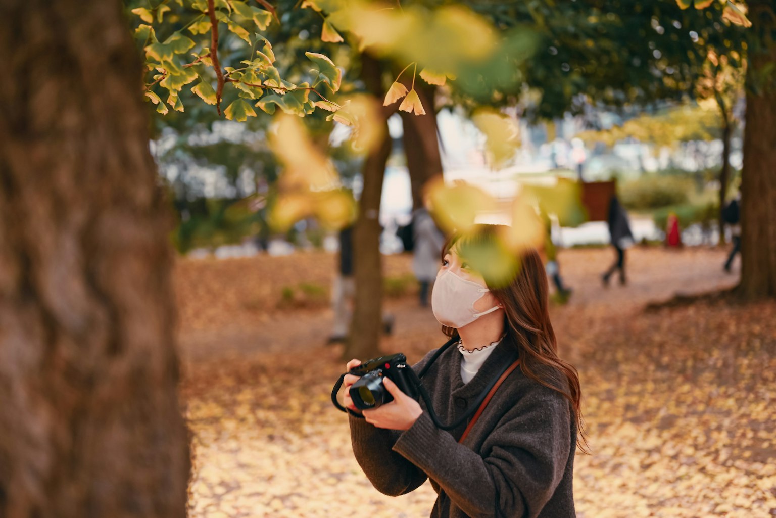 秋季公园中手持相机的女性与五彩斑斓的叶子