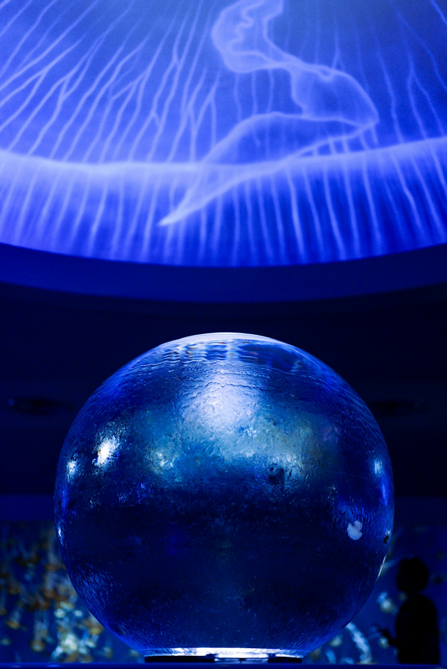 A transparent sphere illuminated by blue light featuring a fantastical projection above