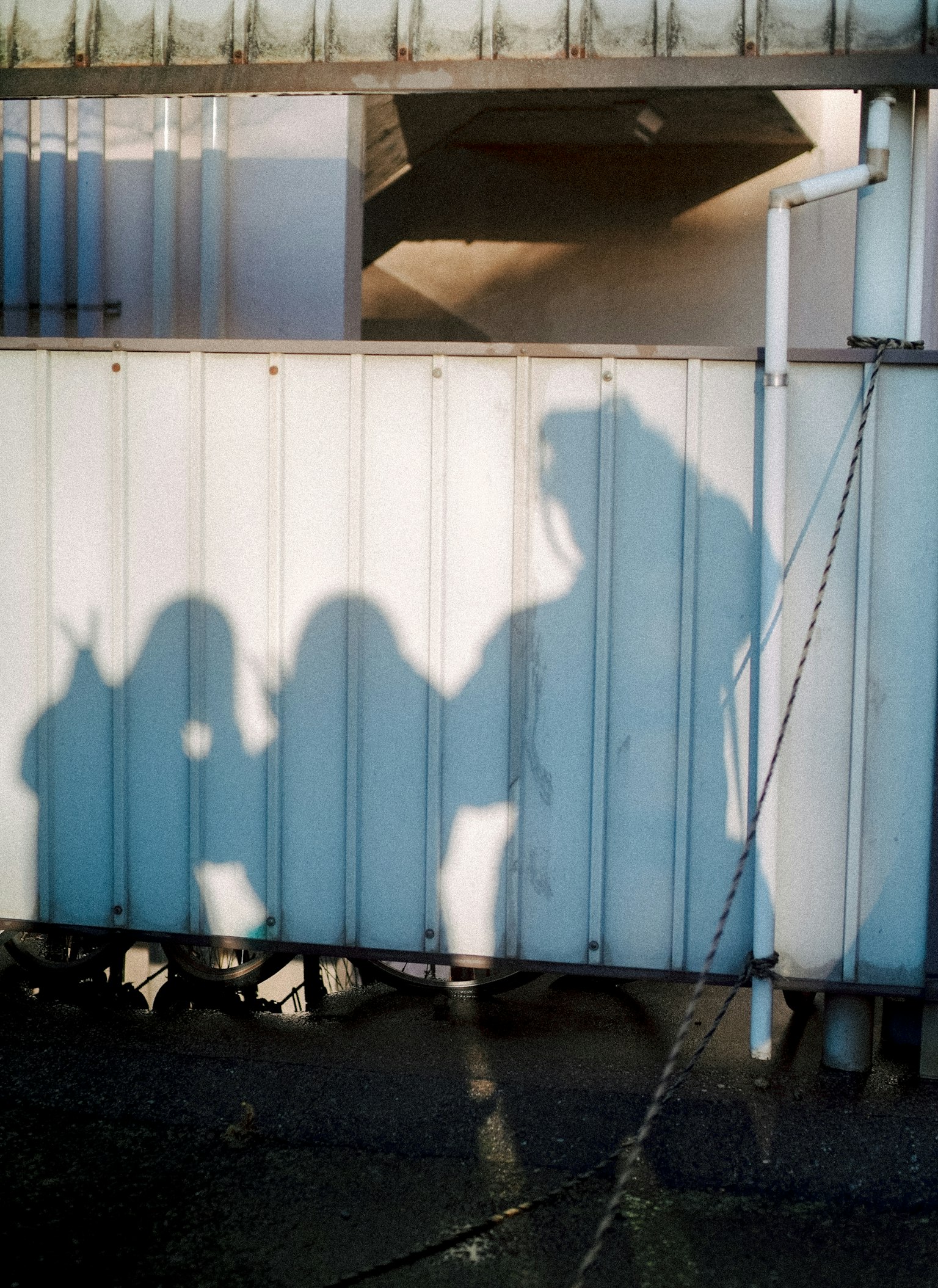 Schatten von Personen an einer blauen Wand in engen, intimen Haltungen