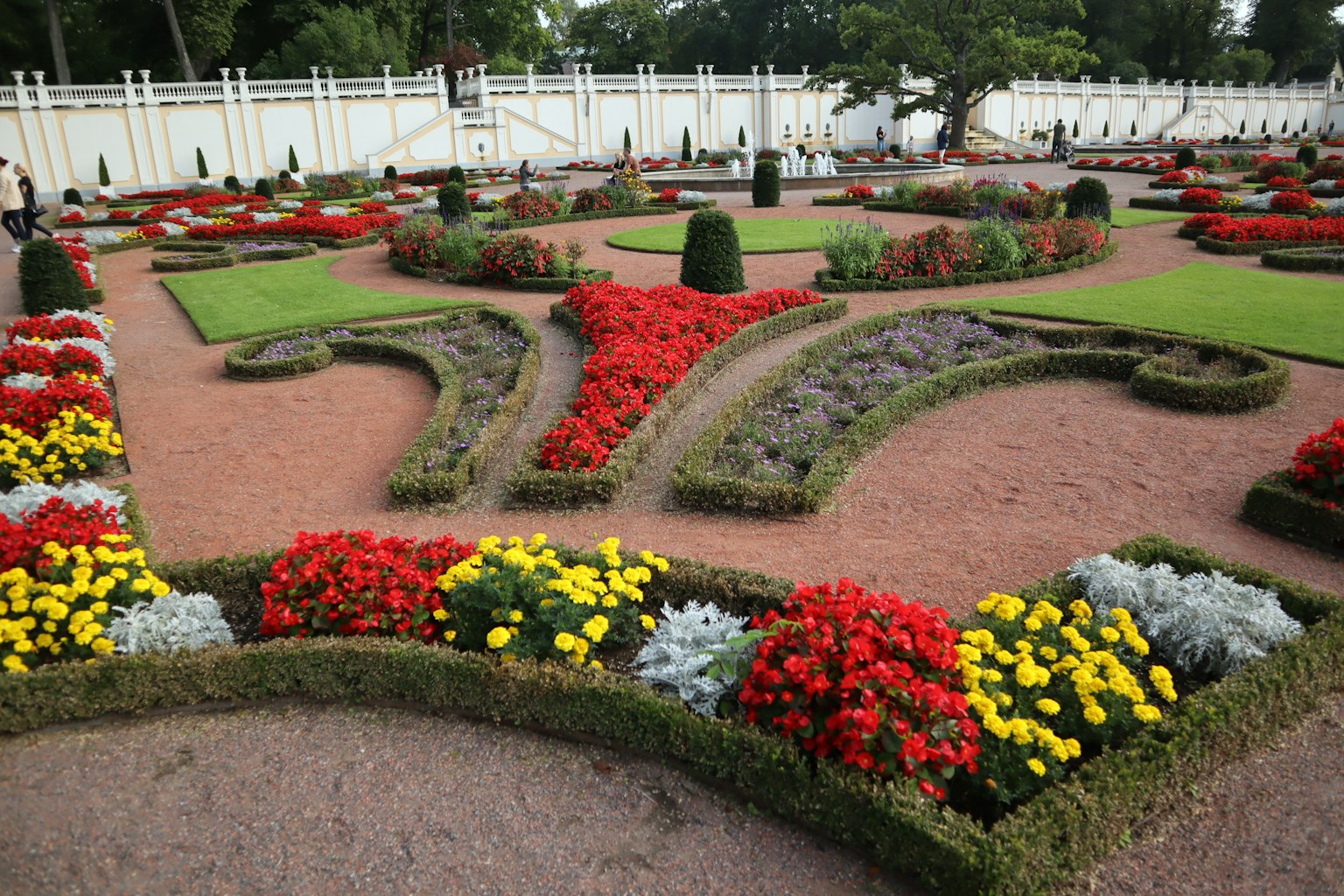 Design del giardino bello con fiori colorati e paesaggio a motivi