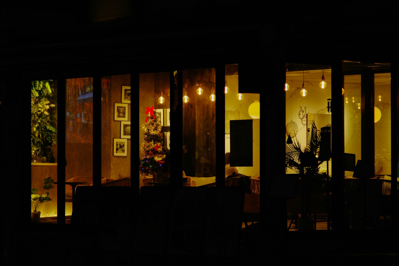 Iluminación cálida y plantas visibles a través de la ventana de un café por la noche