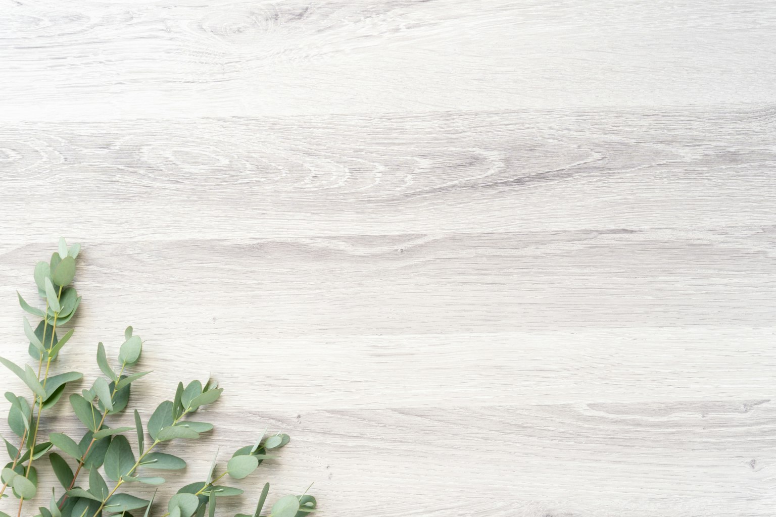 Image simple avec des plantes vertes sur un fond en bois blanc