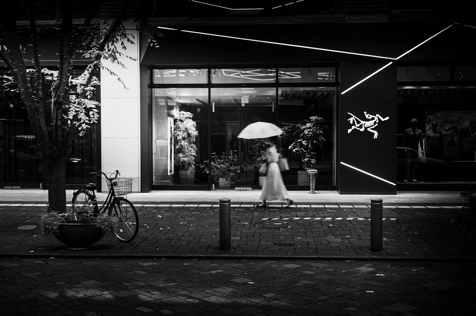 Una donna che cammina con un ombrello in una scena di strada in bianco e nero Una bicicletta parcheggiata nelle vicinanze Piante visibili davanti al negozio