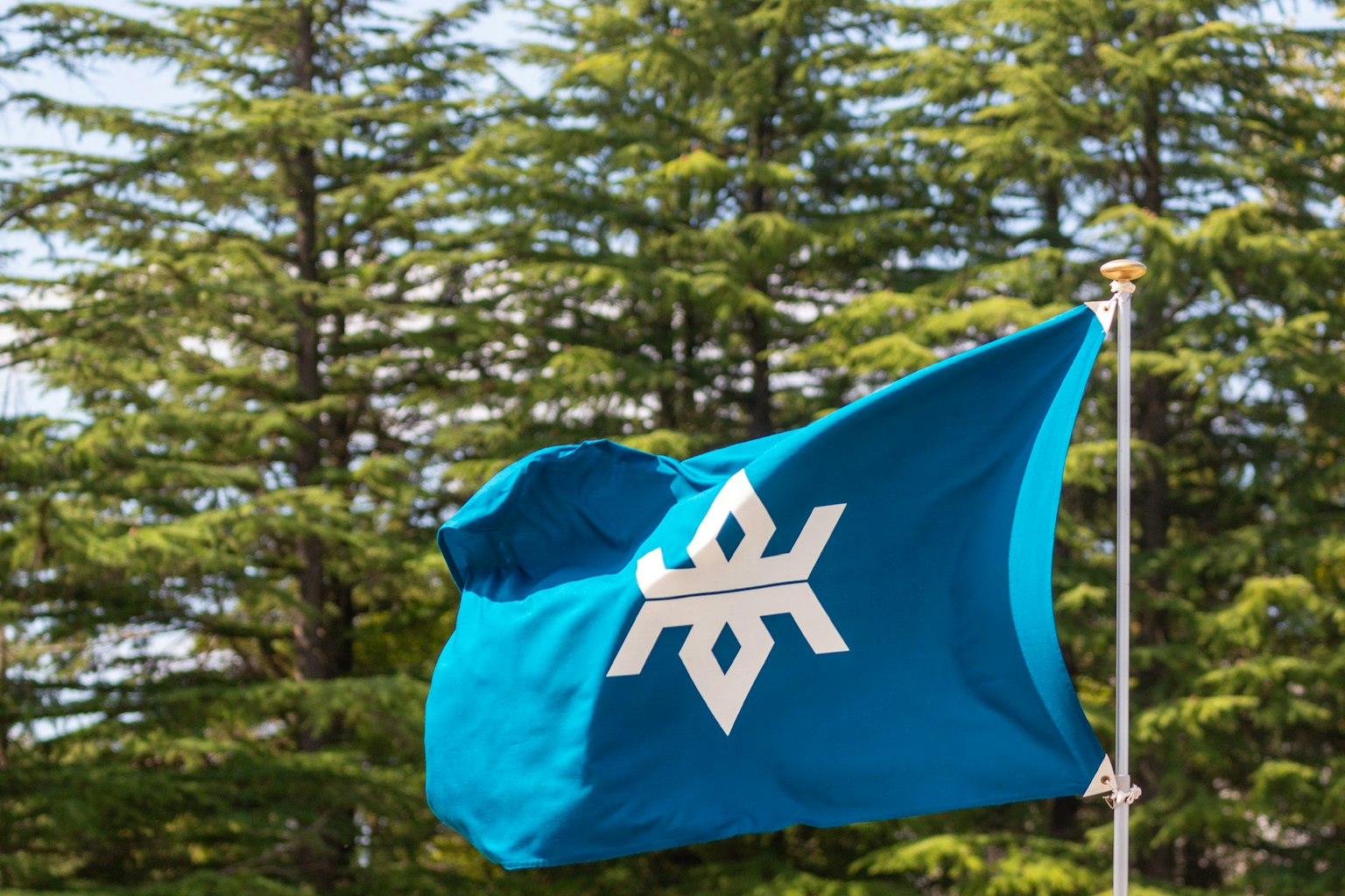 Drapeau bleu flottant parmi les arbres avec un symbole blanc
