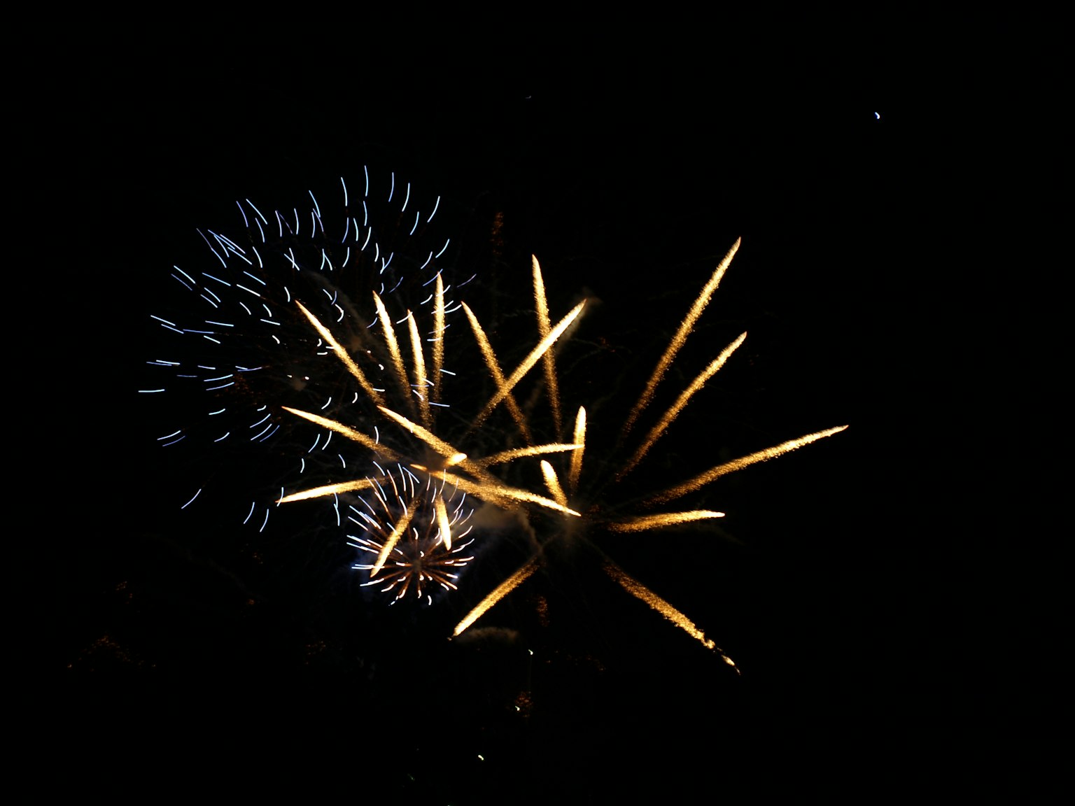 Hermoso espectáculo de fuegos artificiales brillando en el cielo nocturno