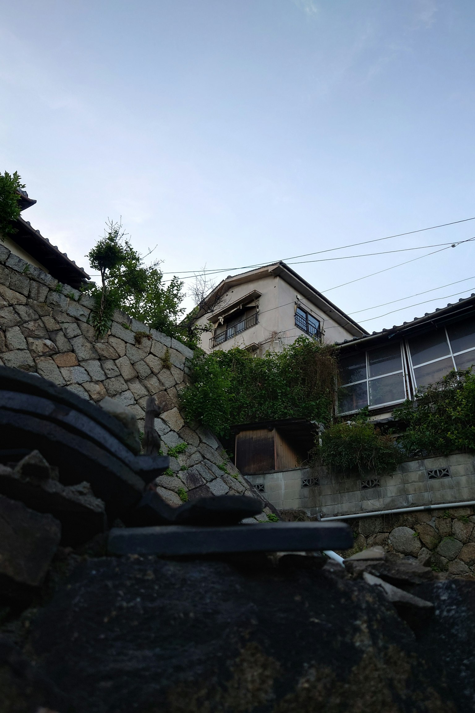 Pemandangan rumah yang dikelilingi dinding batu dan tanaman hijau