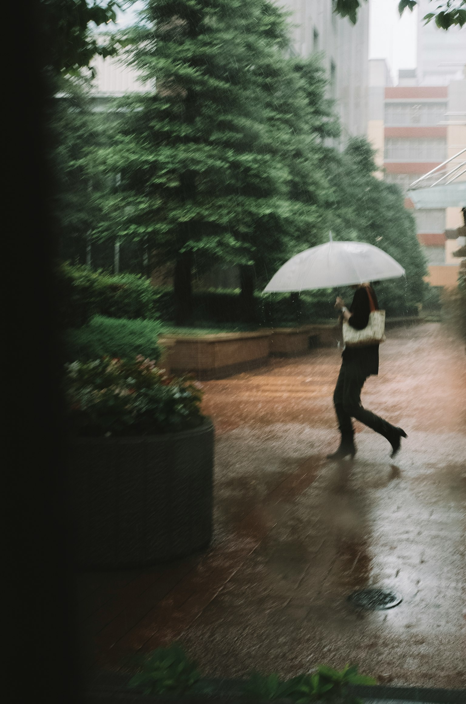 一名女性在雨中手持白傘走在綠色花園中