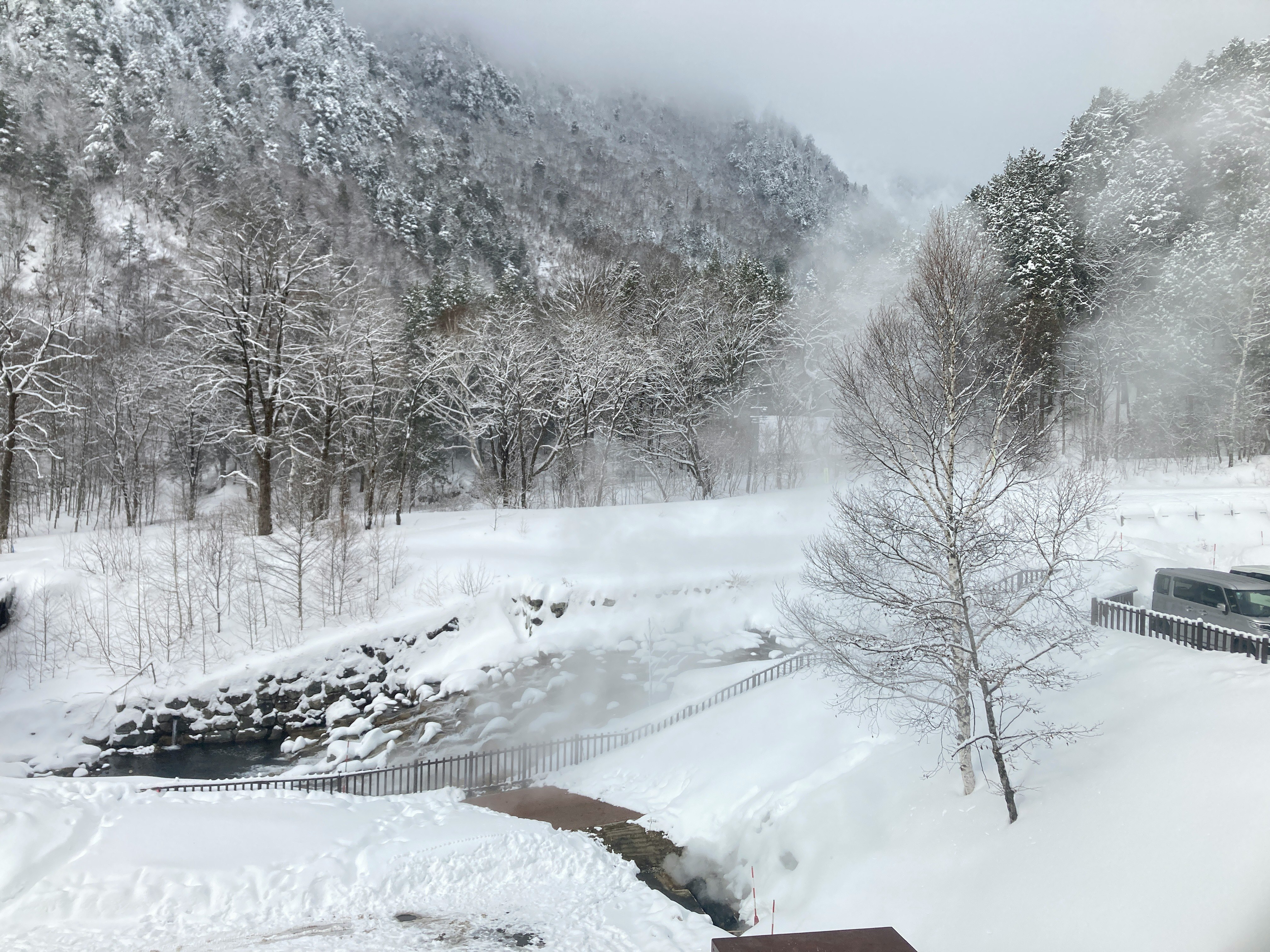 雪に覆われた森の中の川沿いの風景