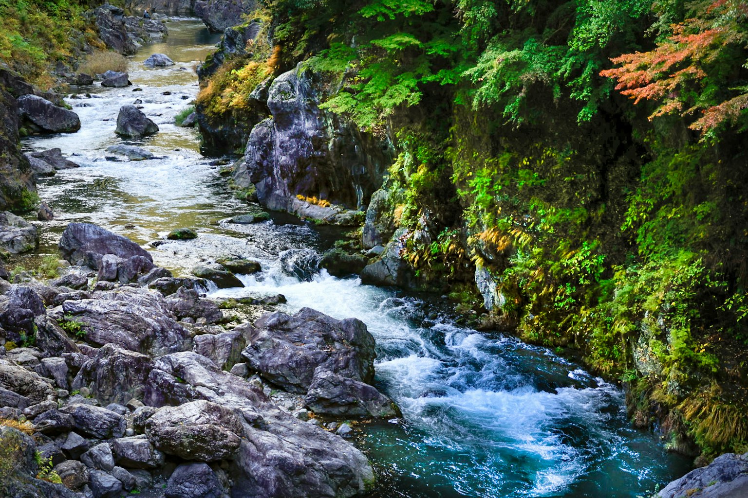 被郁郁葱葱的绿树和岩石环绕的风景如画的河流
