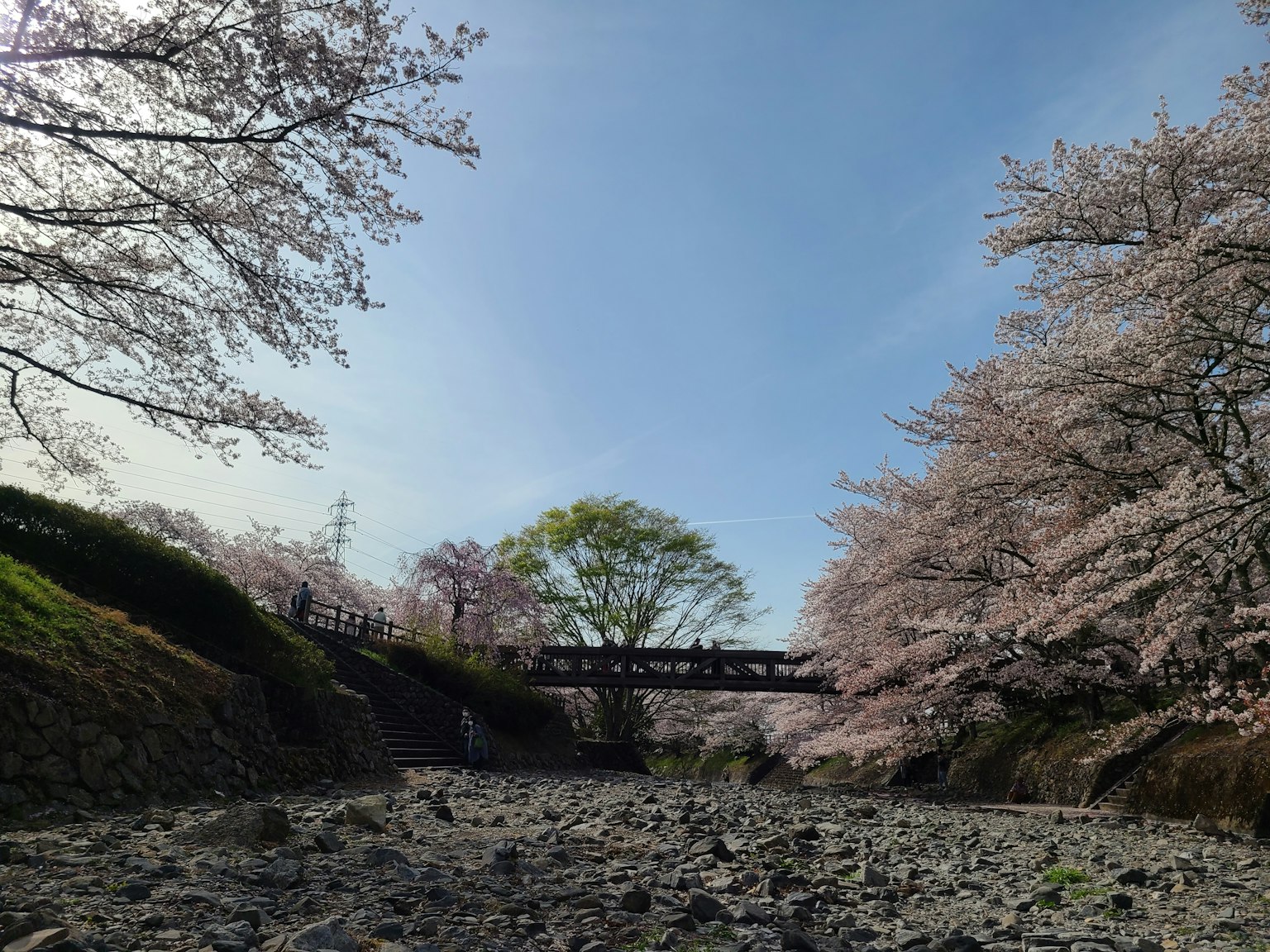 Malersiche Aussicht auf Kirschblütenbäume und eine Brücke über ein trockenes Flussbett