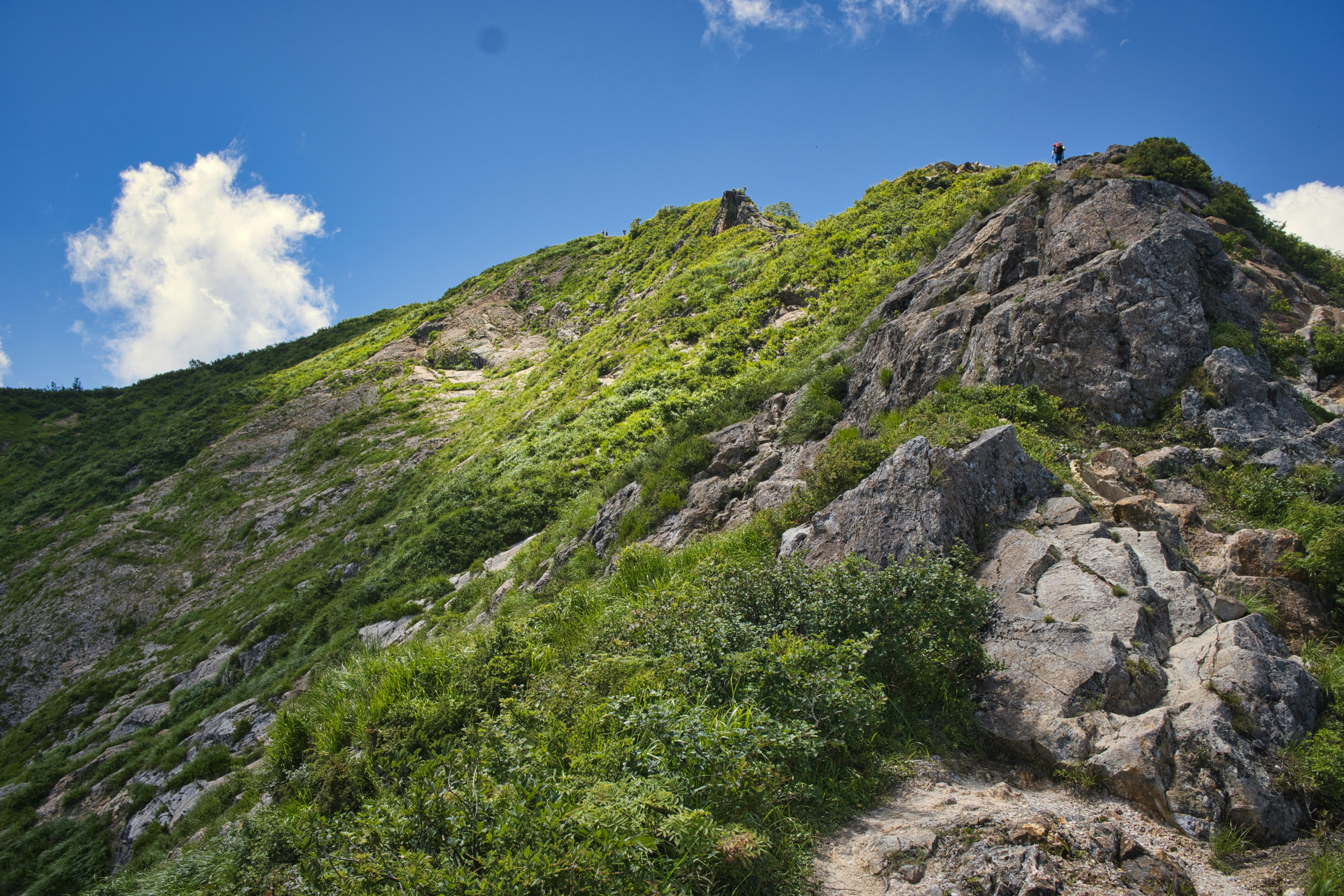 mountain hillside with rocky trail and lush greenery