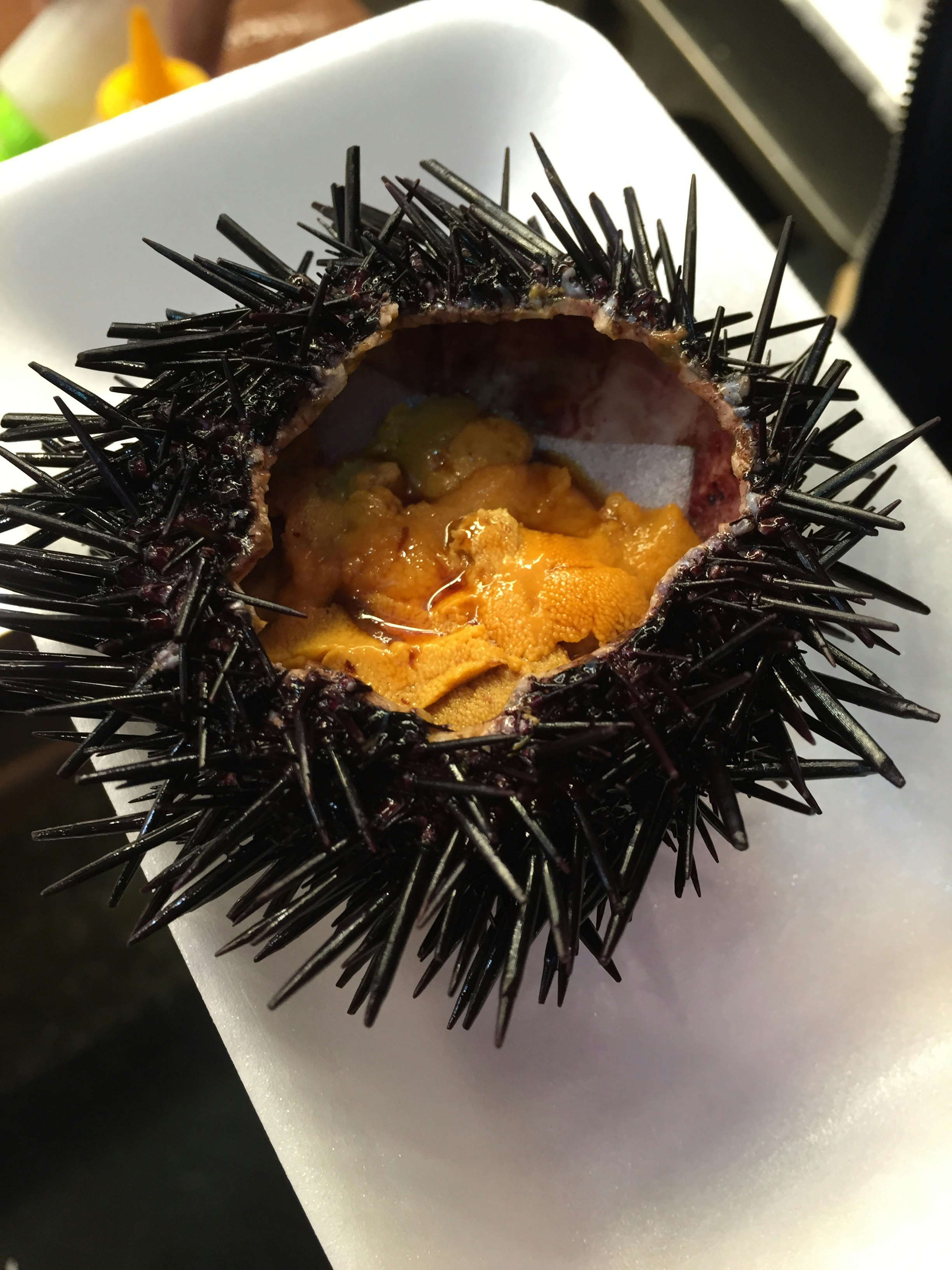 裝在帶刺碗裡的濃郁蛋料理