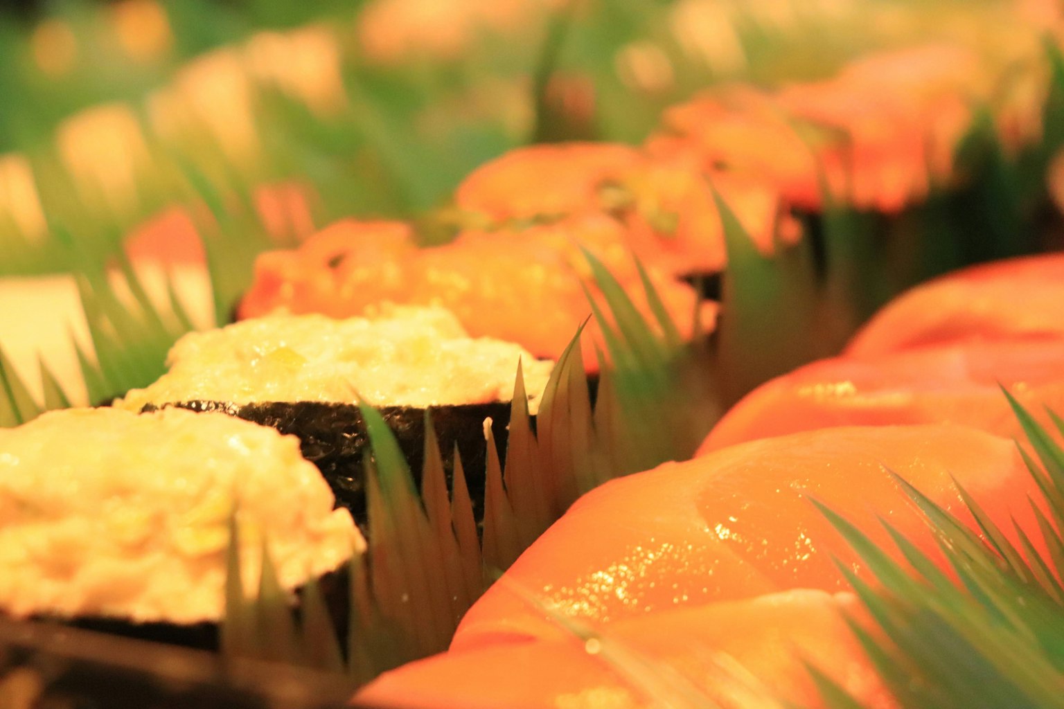Una bella disposizione di sushi con decorazione in erba verde