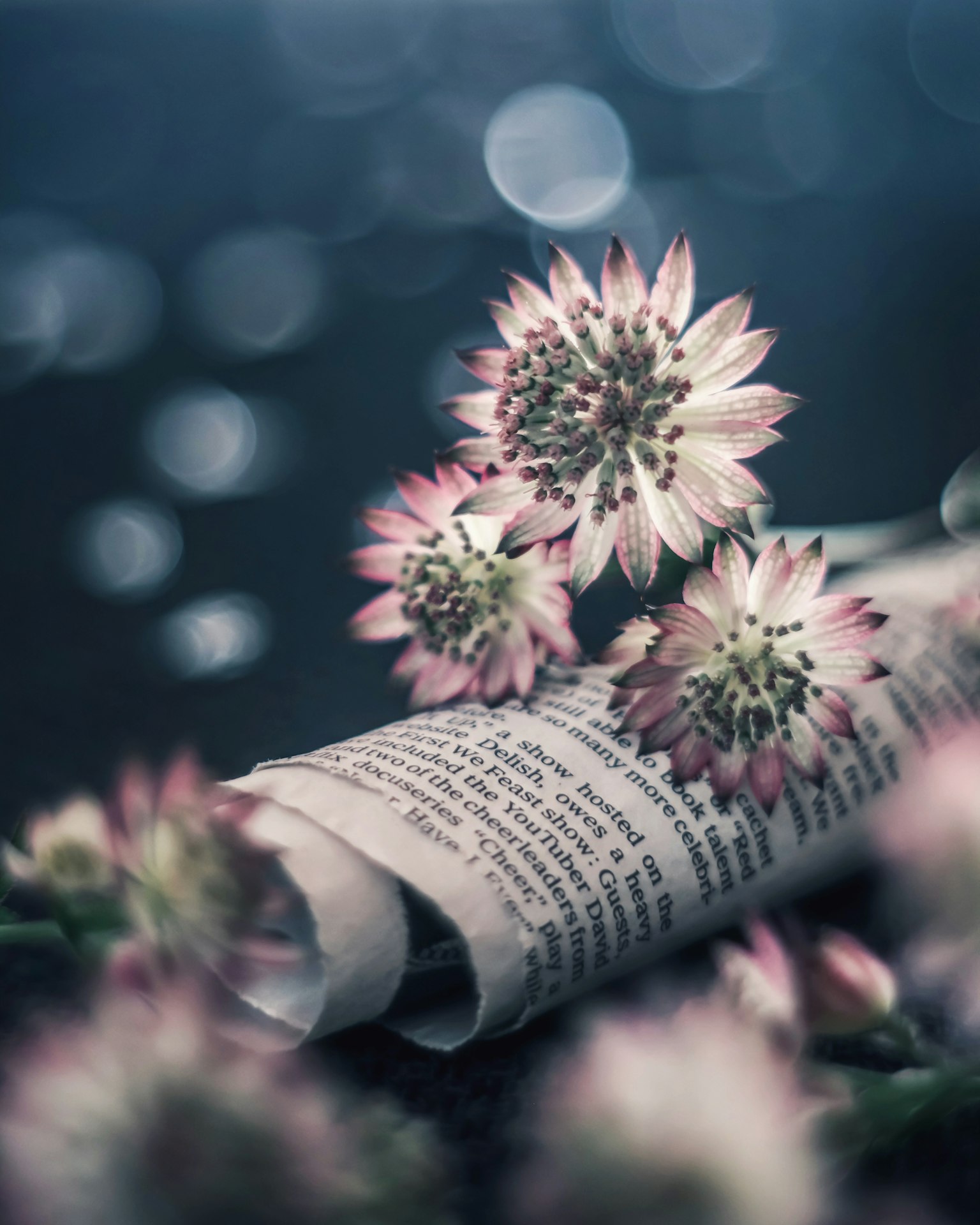 Beautiful flowers arranged on a rolled newspaper with a blurred background