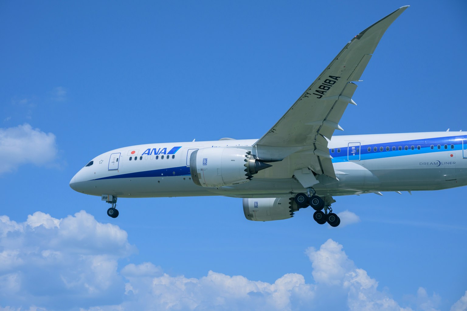 ANA波音787在蓝天飞行