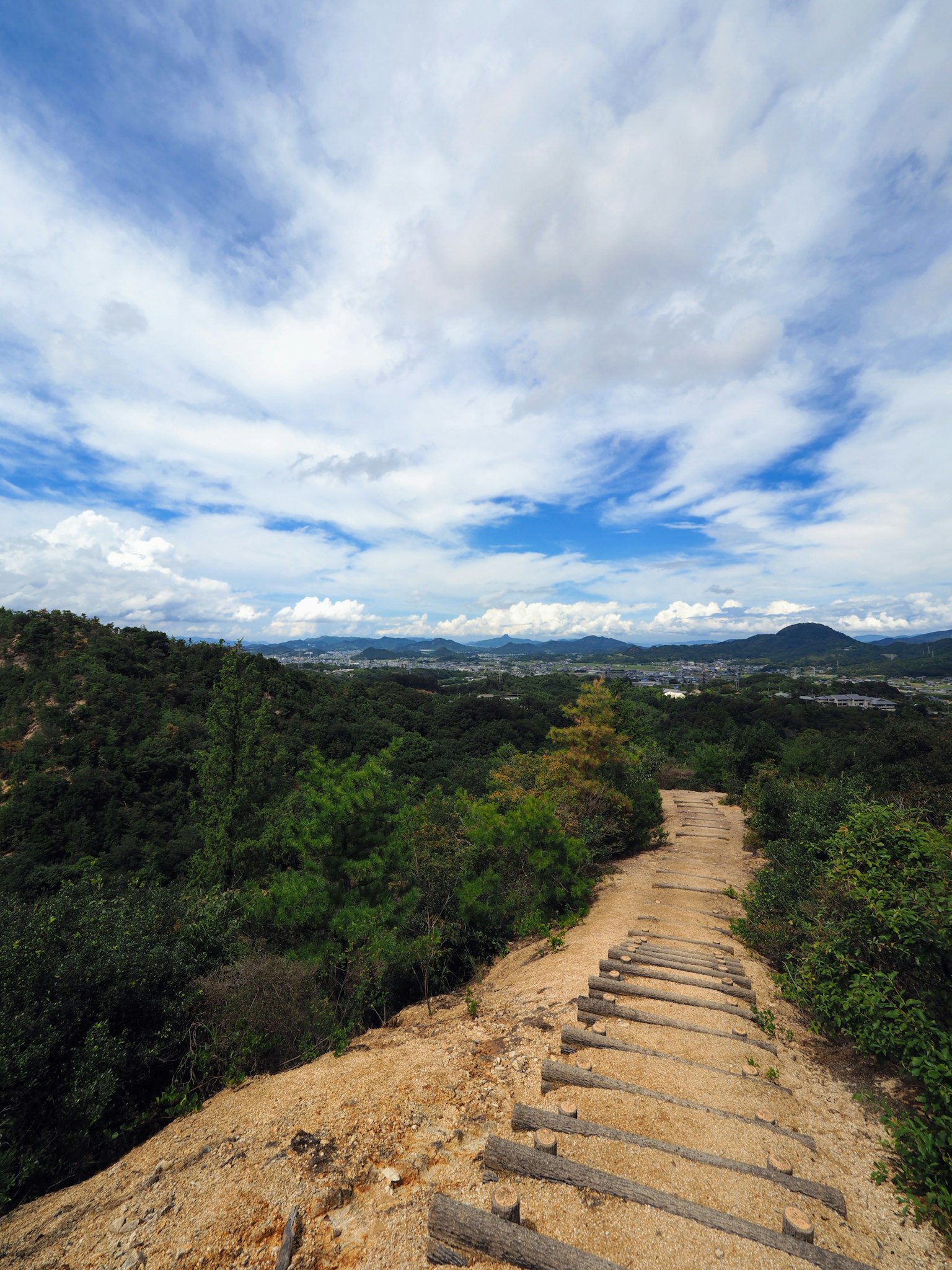 Vista escénica de un camino de tierra serpenteando a través de la vegetación bajo un cielo azul con nubes