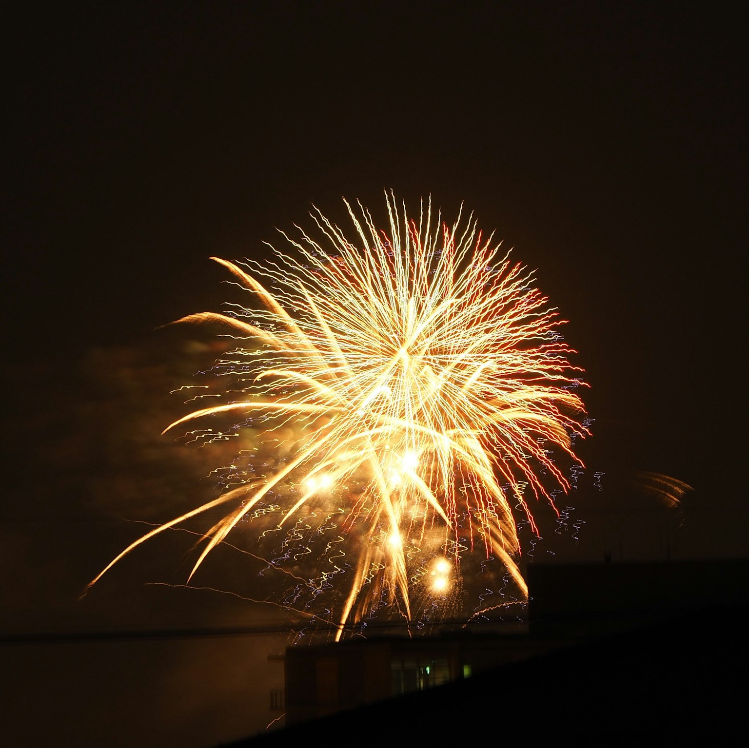 夜空中绽放的金色烟花