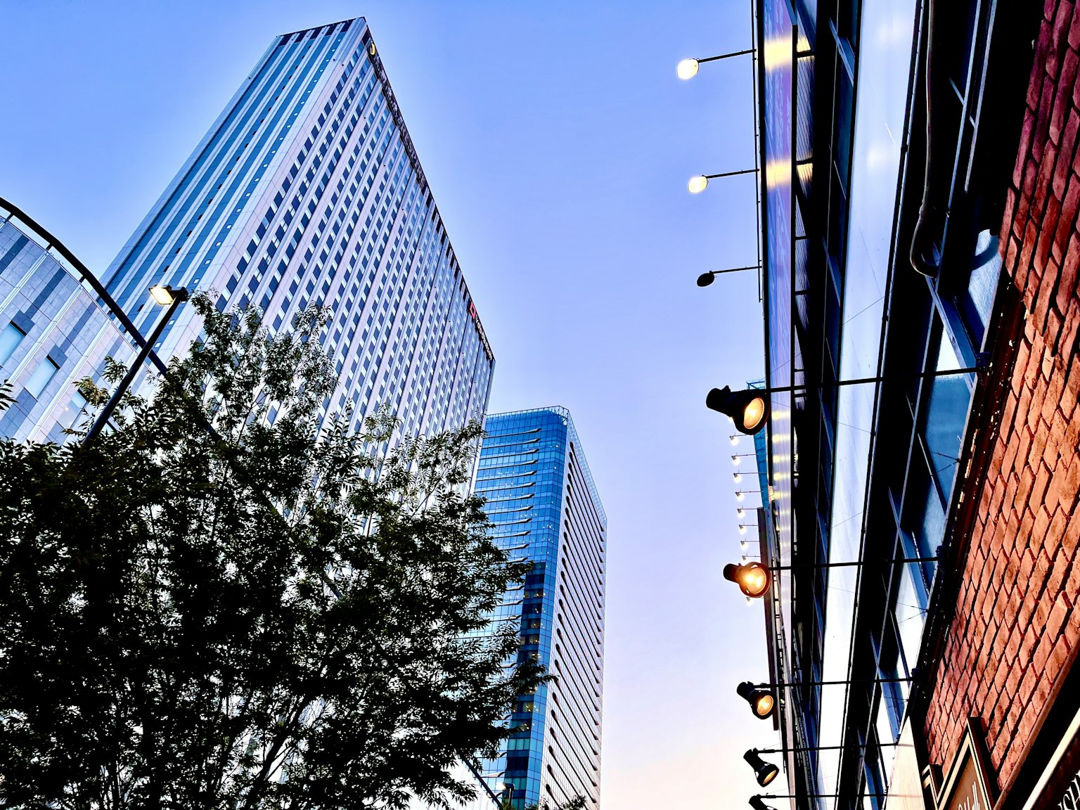 푸른 하늘 아래 높은 건물의 스카이라인