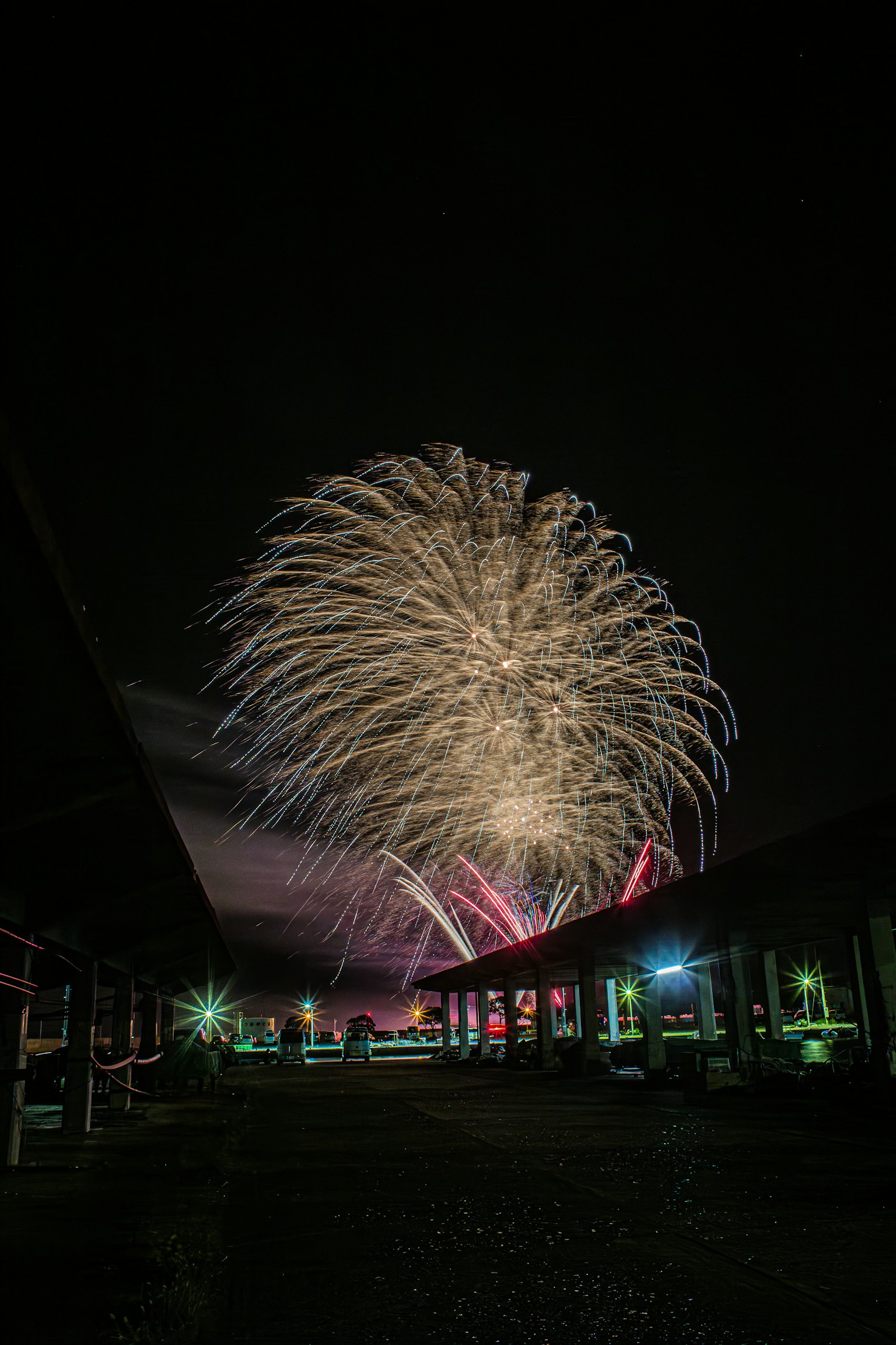 Spectacle de feux d'artifice illuminant le ciel nocturne avec des couleurs vives