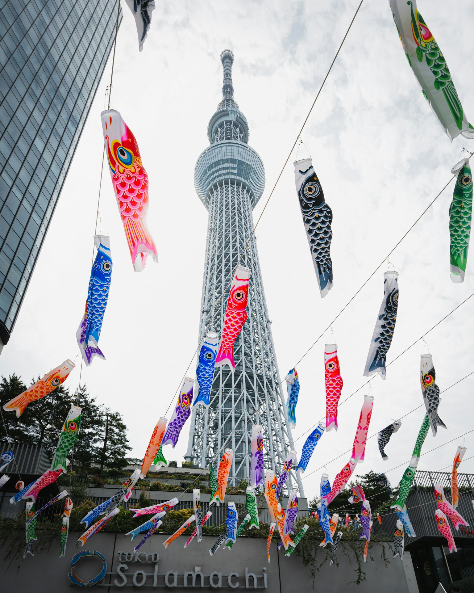東京晴空塔與前景中的彩色鯉魚旗